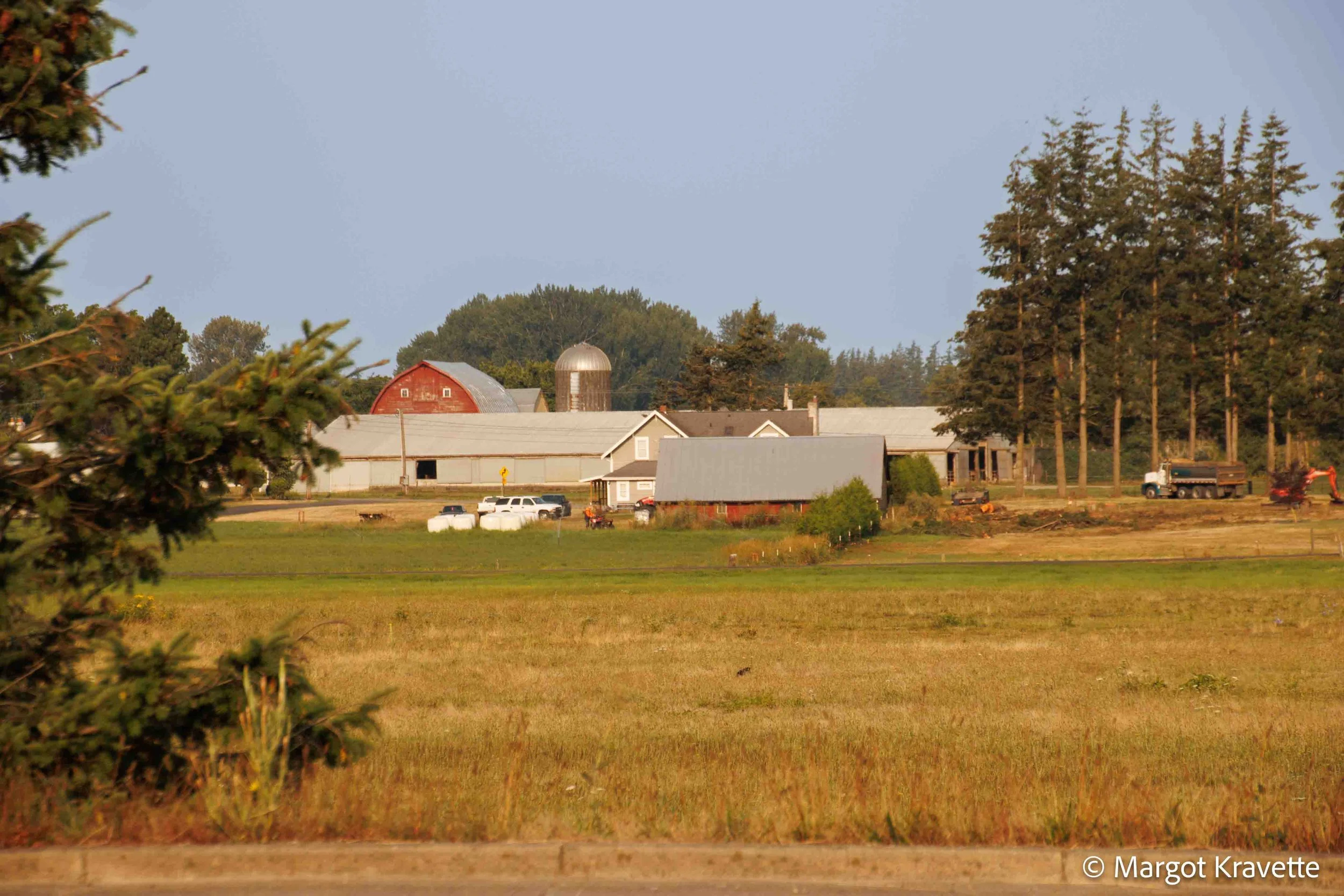 view of farm-8470.jpg