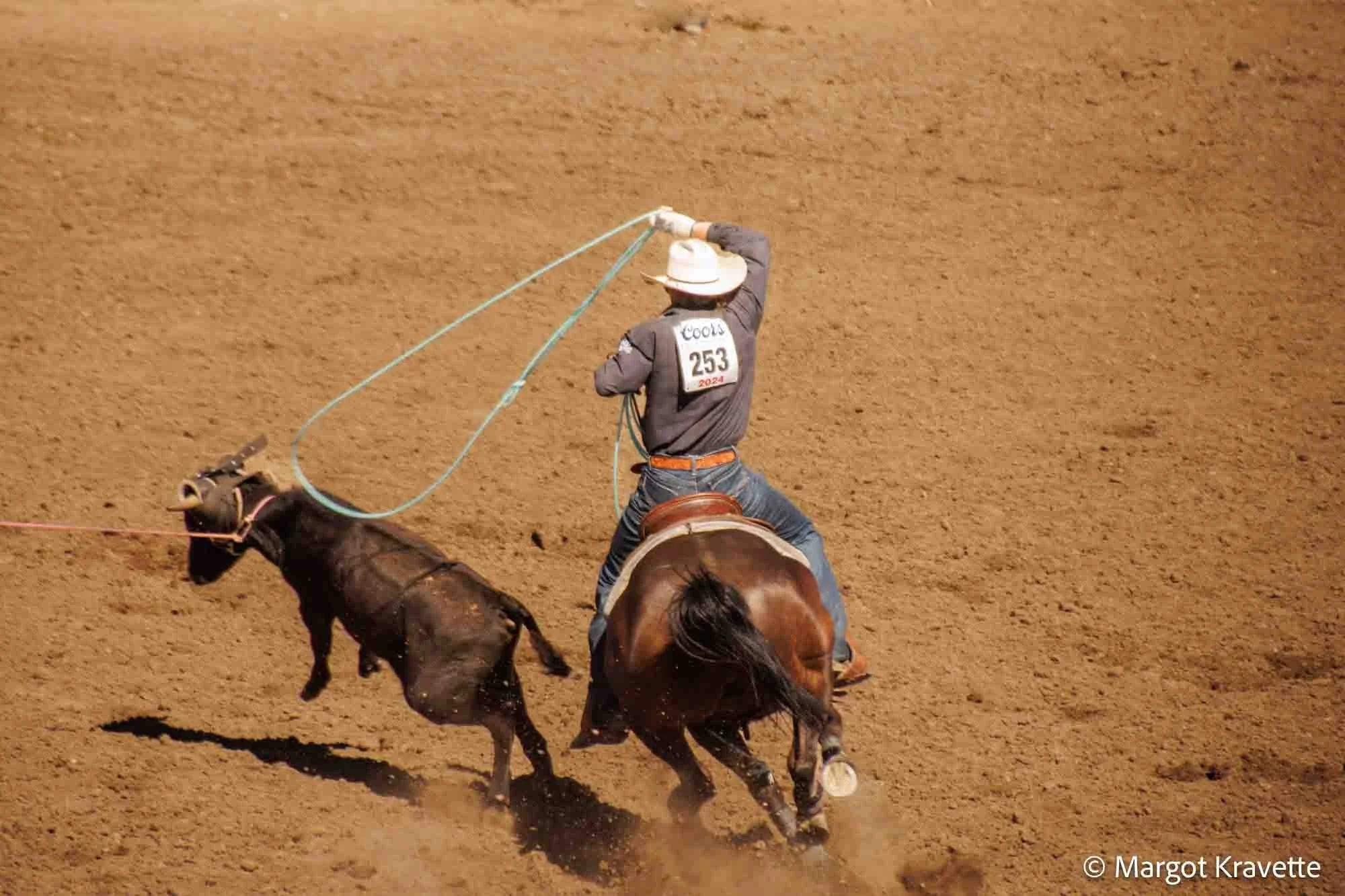 steer roping.jpg