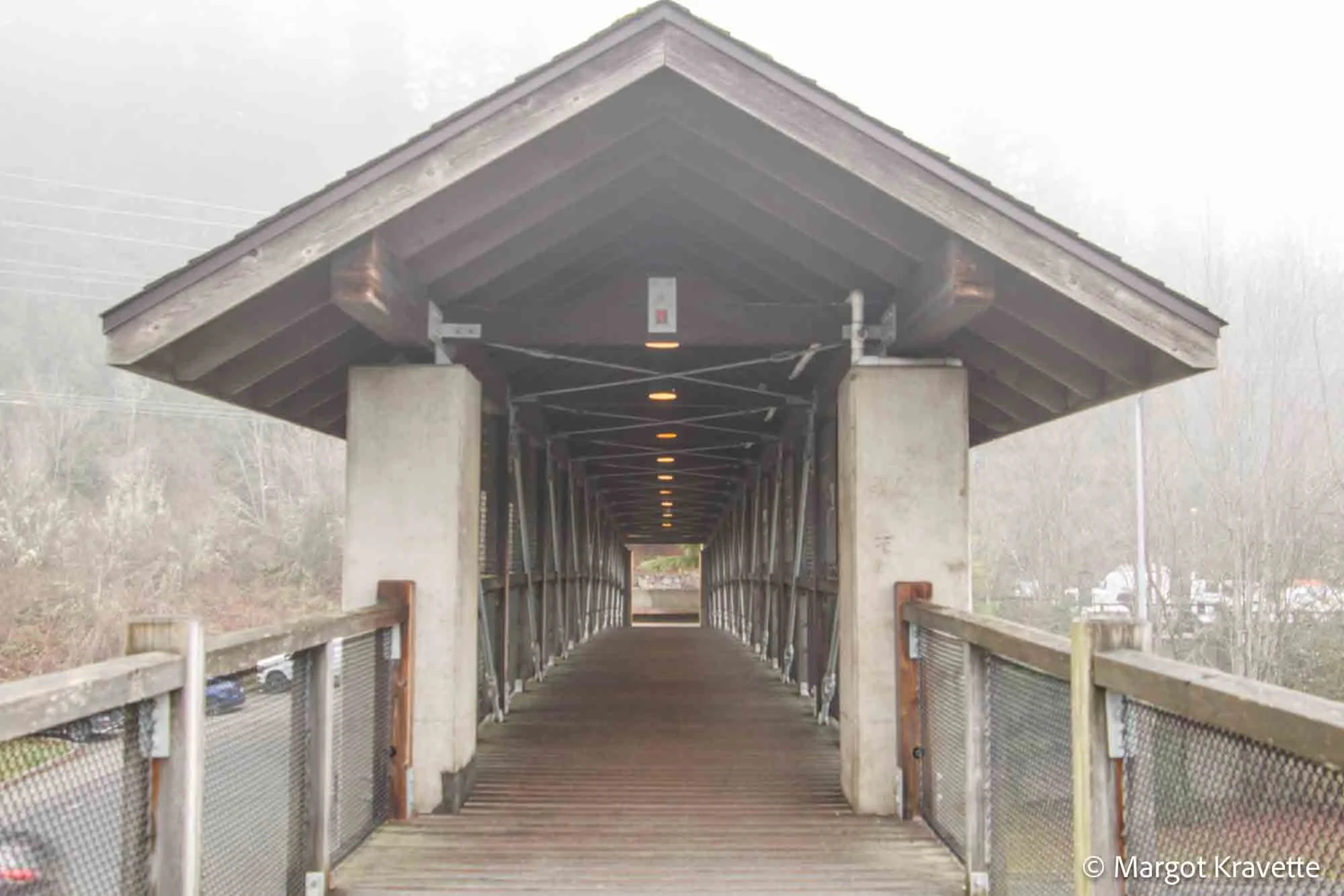 bridge-9425.jpg