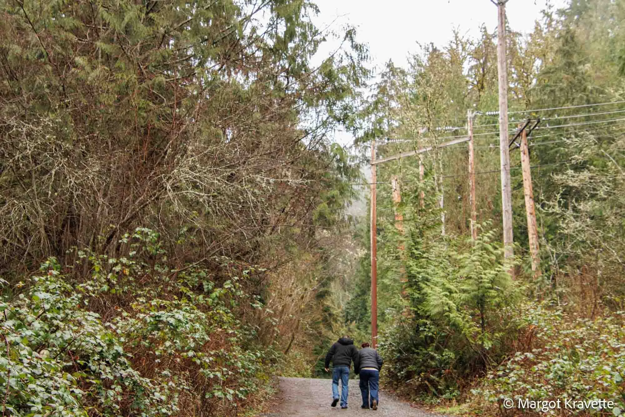 walking up with electrical lines-9553.jpg