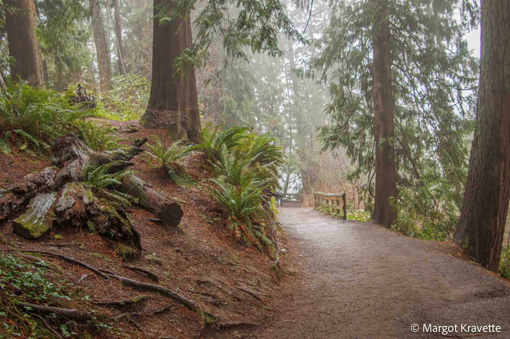 Trail down hill-9460.jpg
