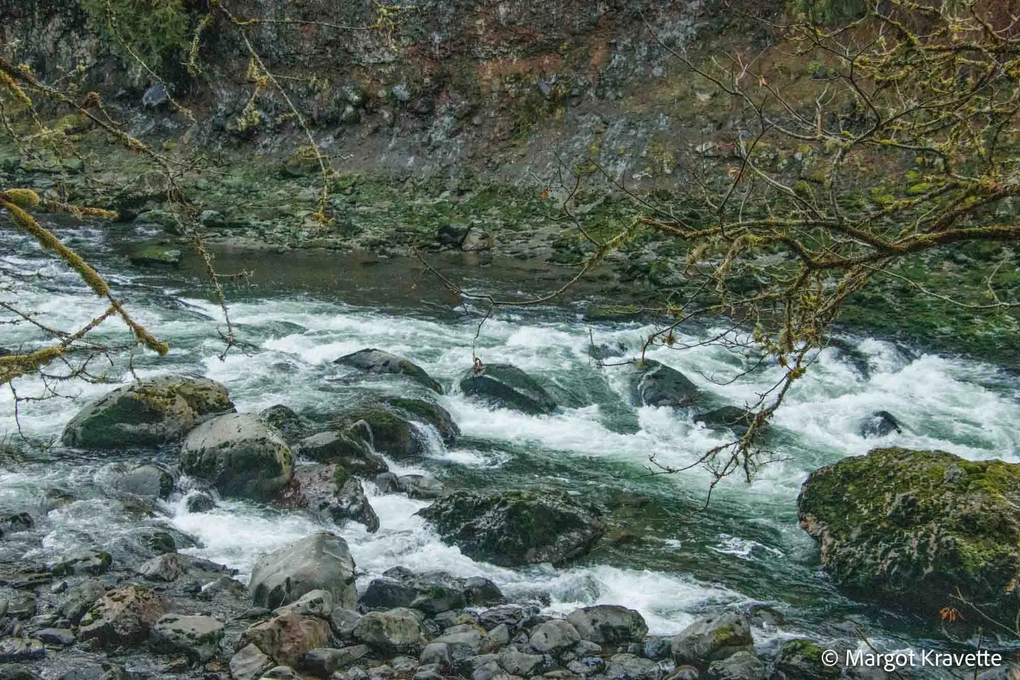 Rocks in water-9620.jpg