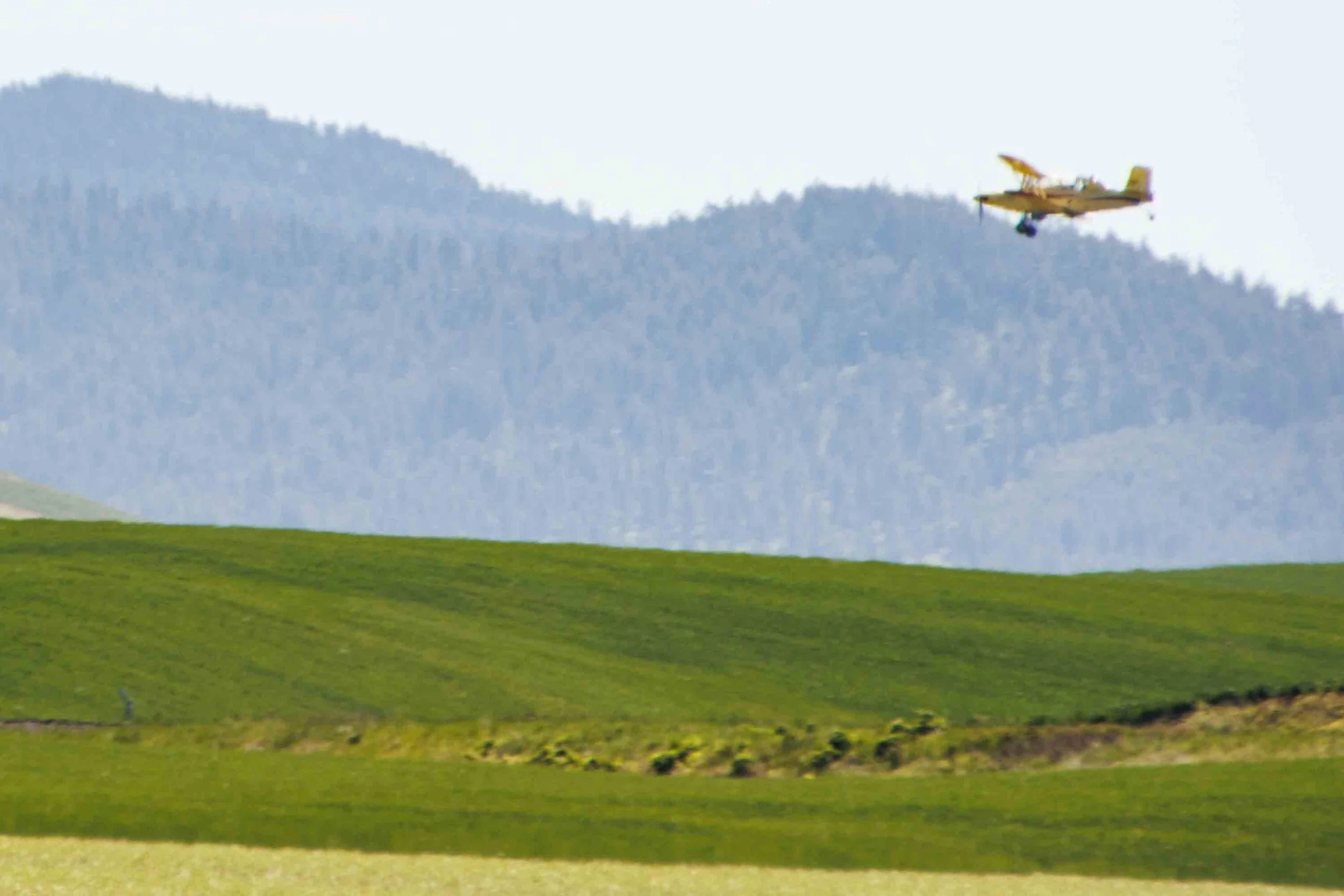 Field, green with airplane-4229.jpg