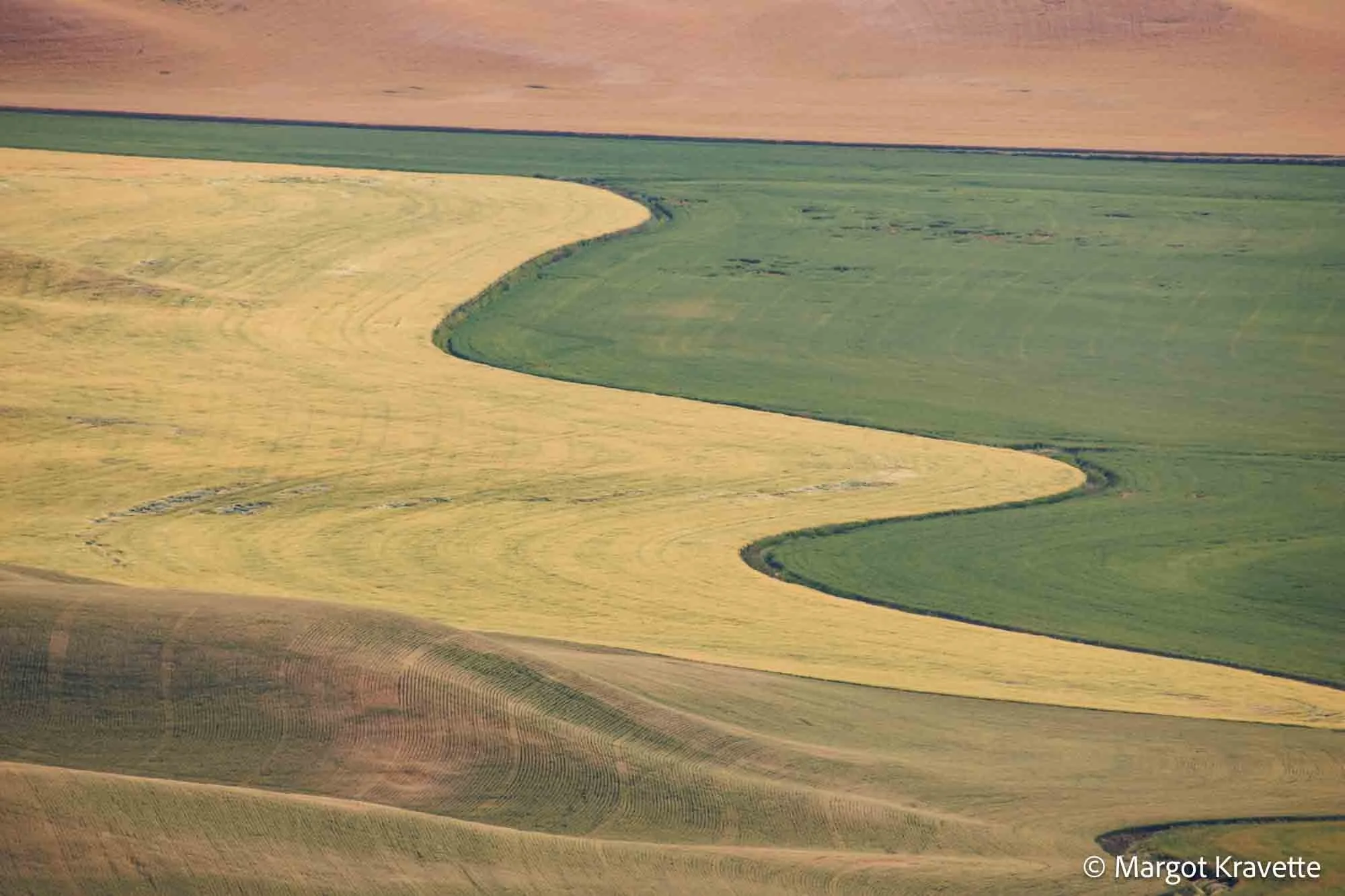 Fields with squigle margin-7938.jpg