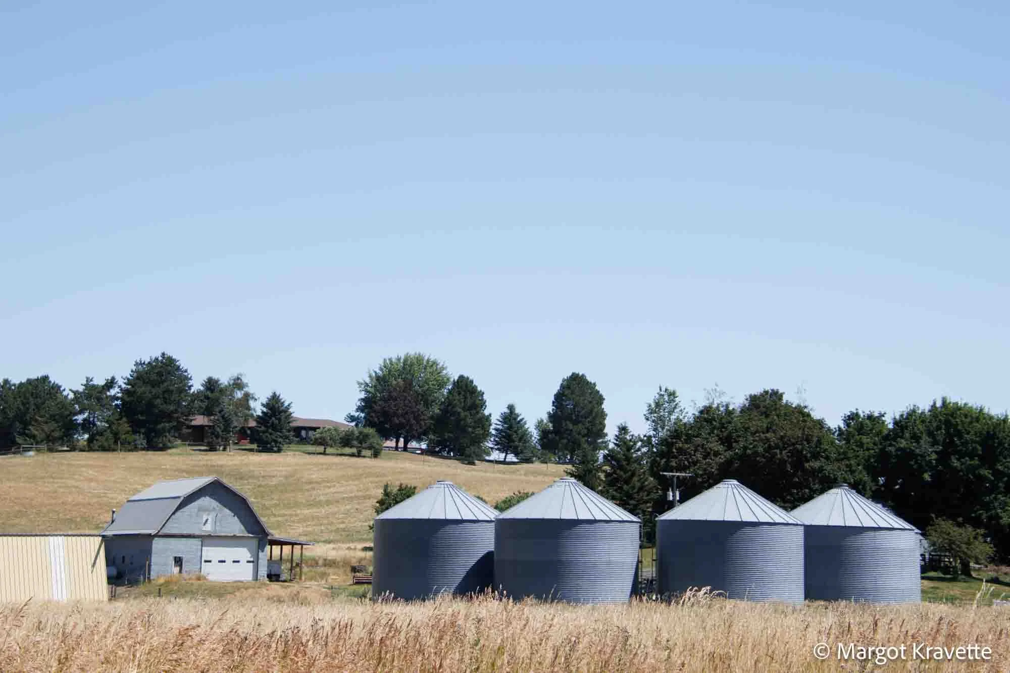 barn and silos-8106.jpg