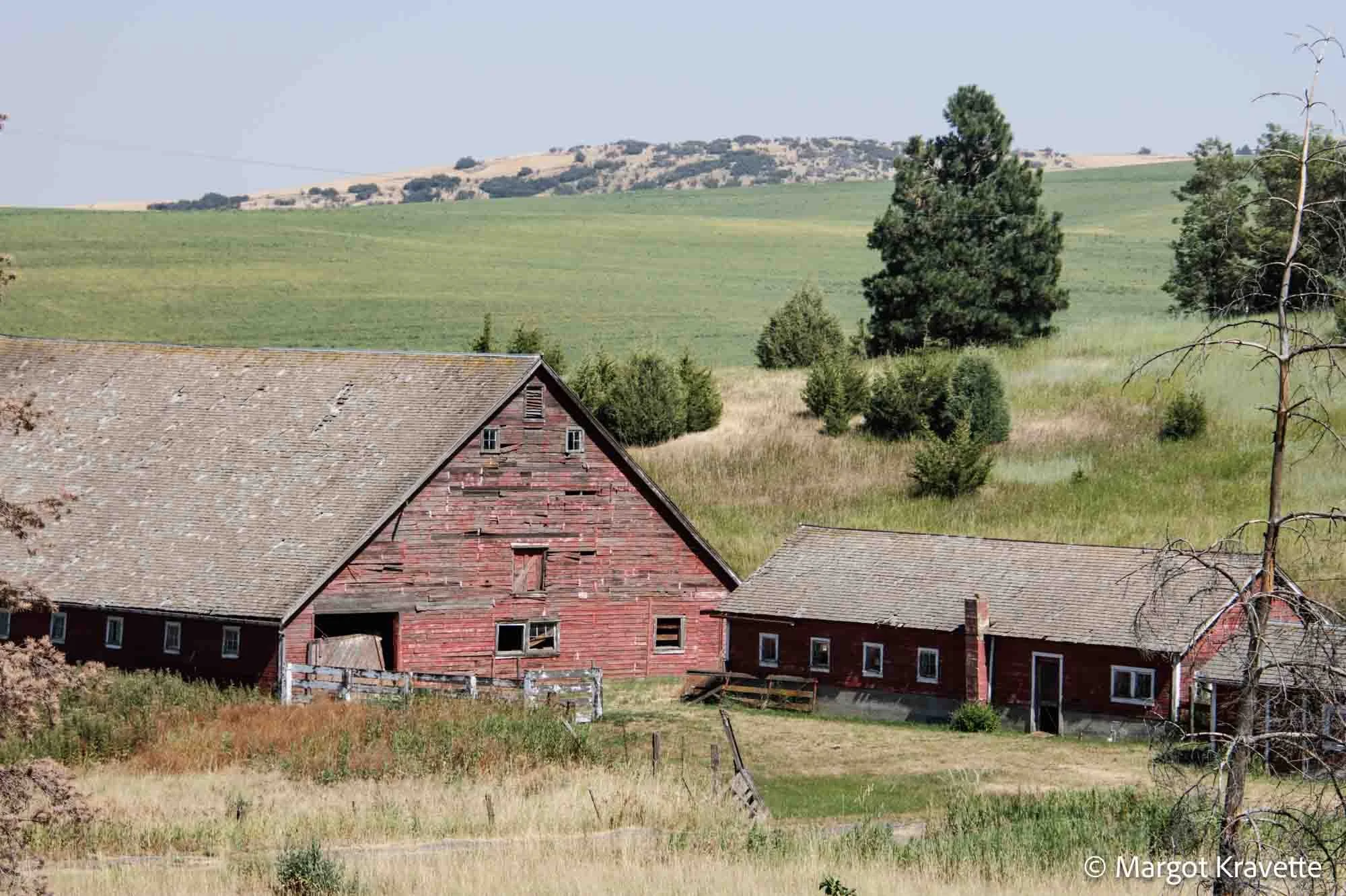 barn -8180.jpg