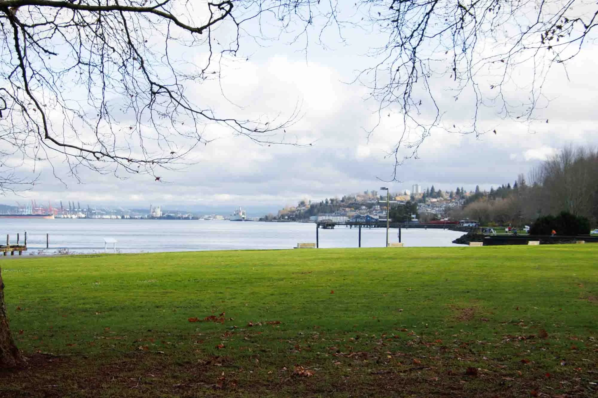 Green space at Judge Jack Tanner Park