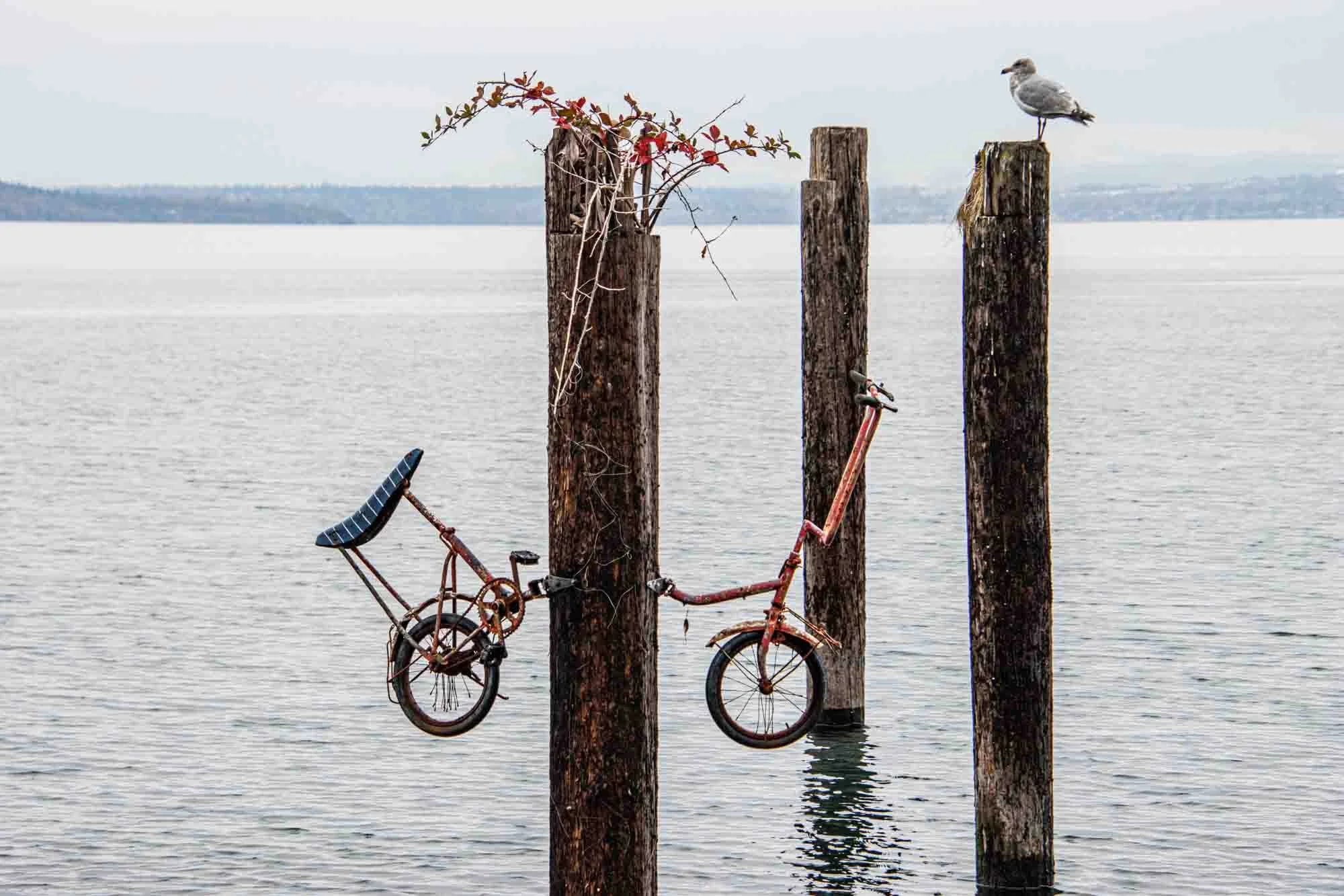 Bike #2 on Piling