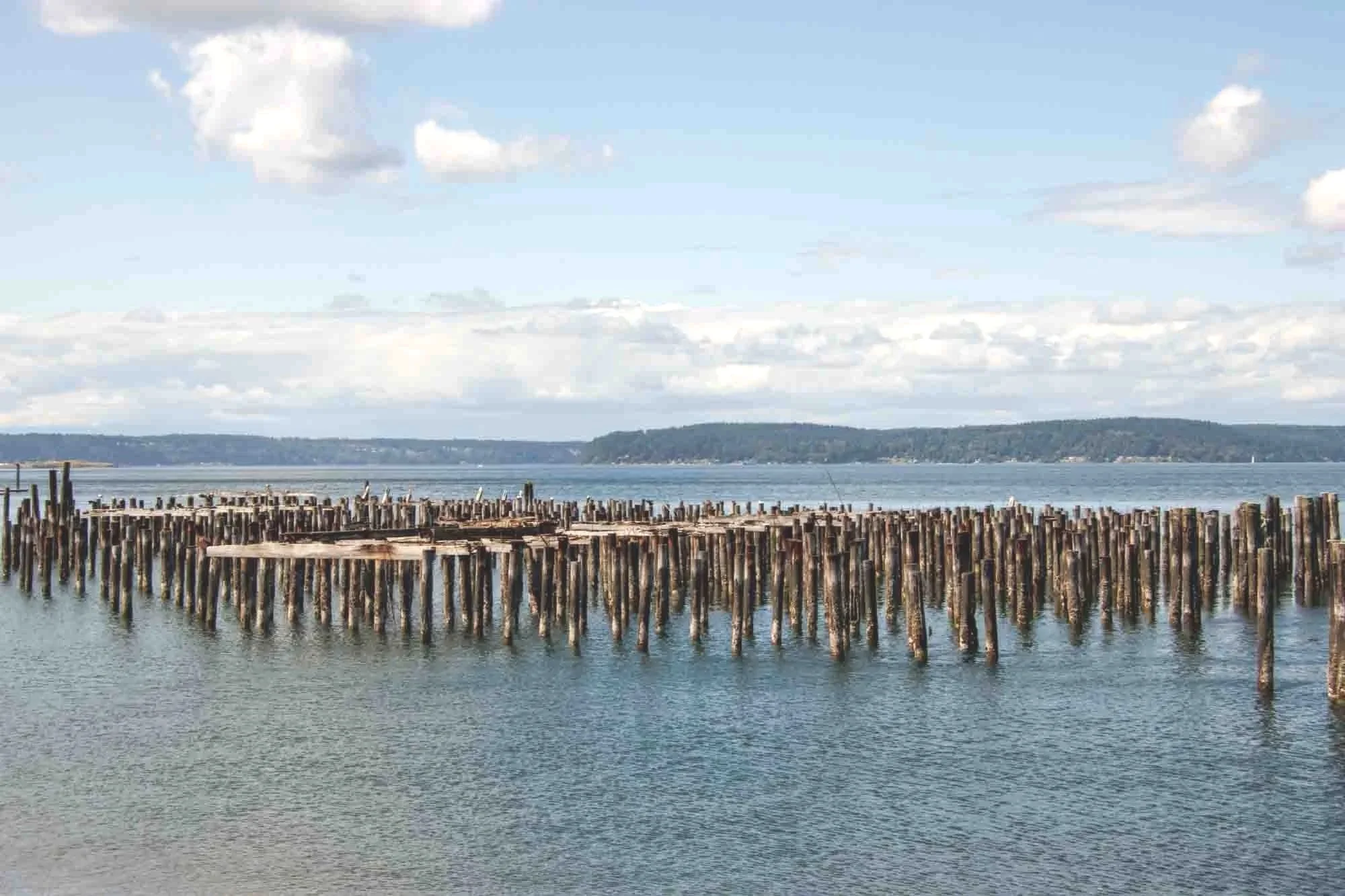 Pilings remaining from Dickman Mill