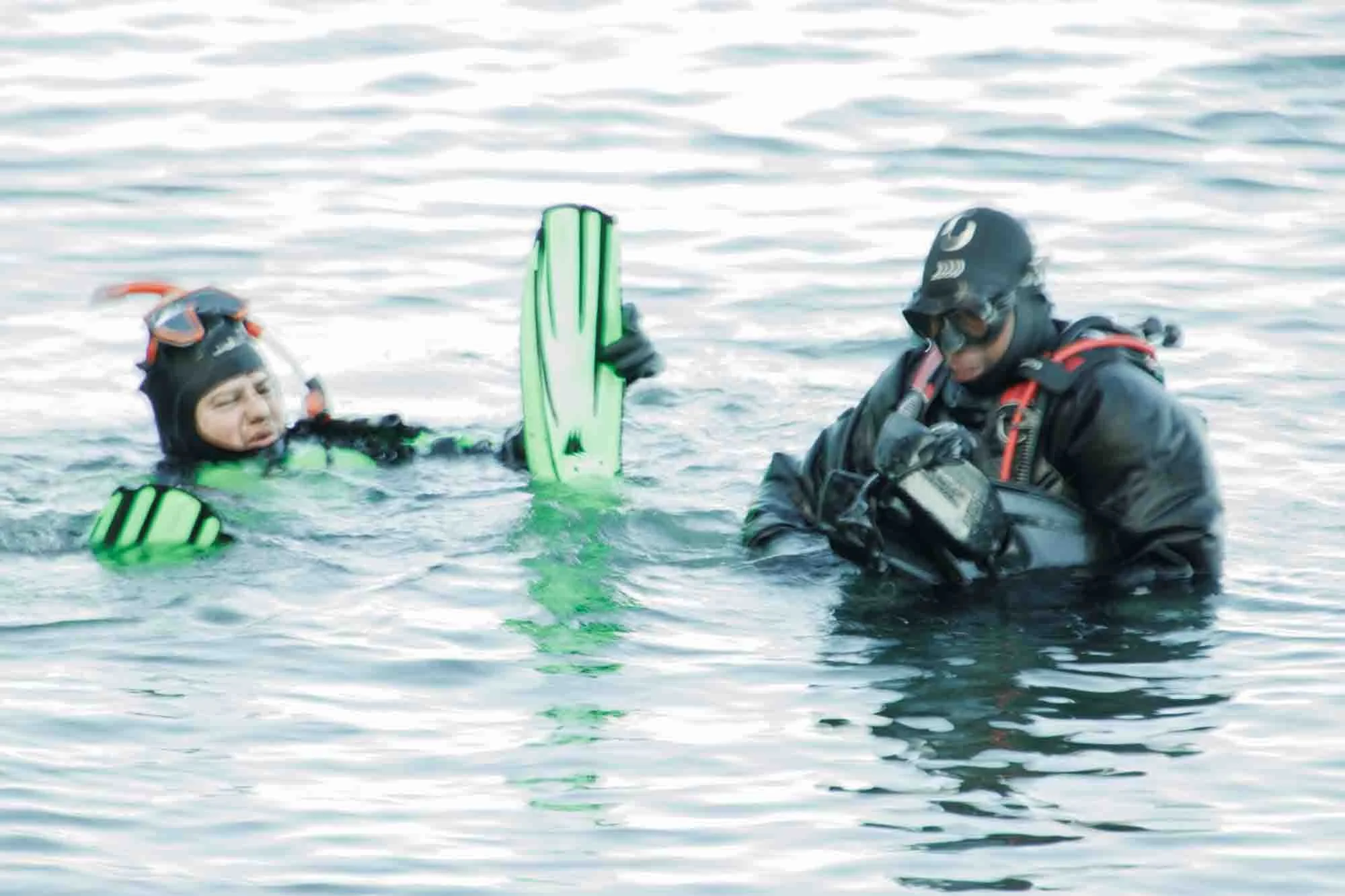 Divers in the water