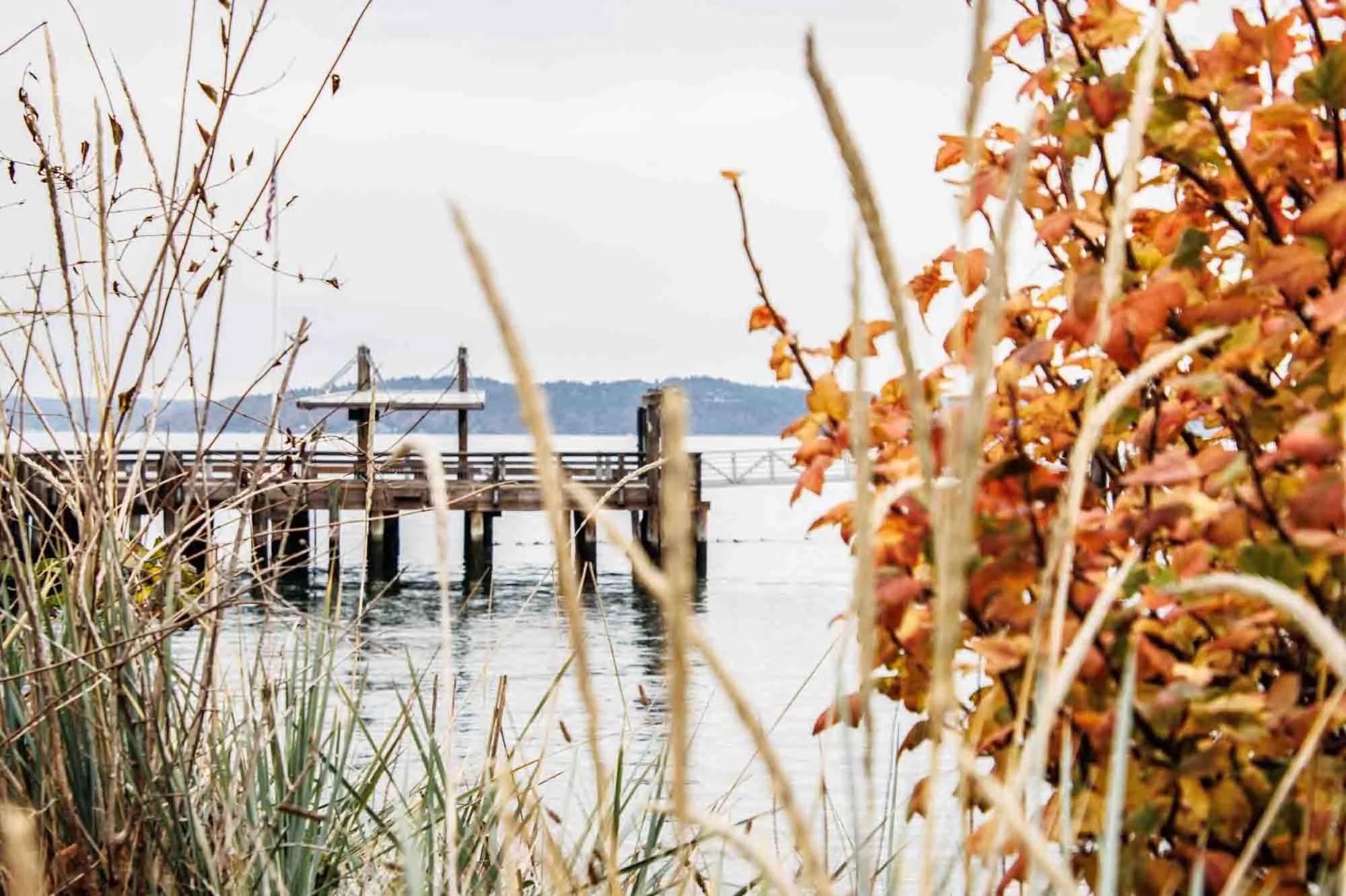 Ruston Way Waterfront