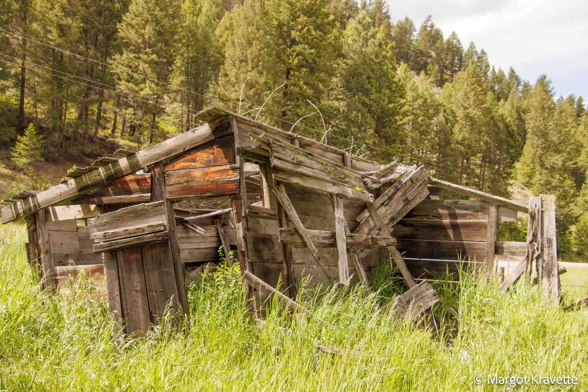 Bodie.1-6947.jpg