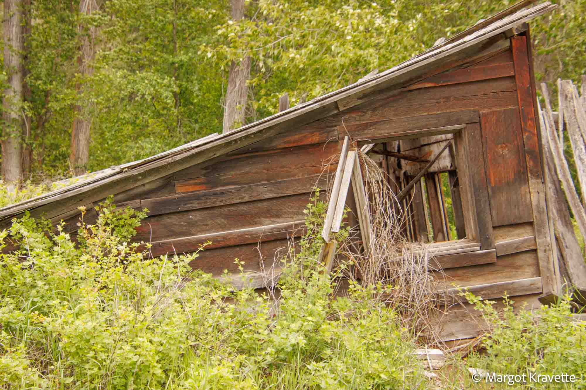 Bodie.4-6958.jpg