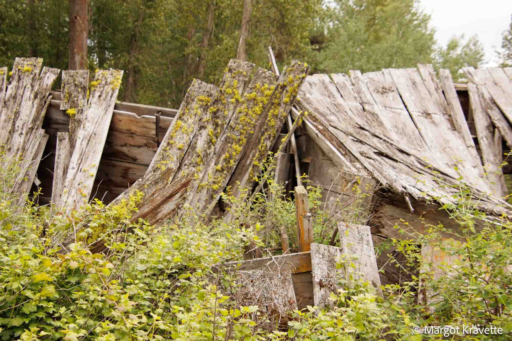 Bodie.5-6960.jpg