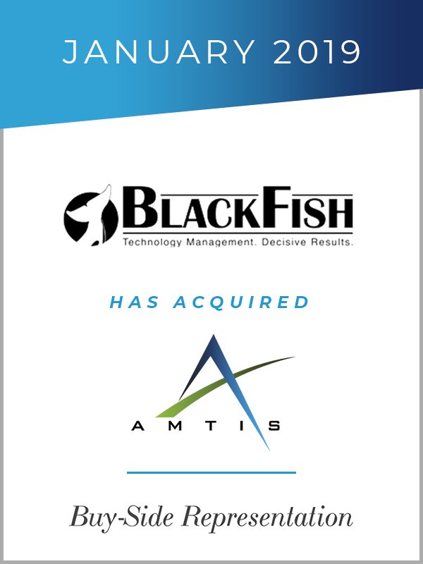 Transaction tombstone: BlackFish Federal has acquired AMTIS, Inc. January 2019. Genaesis buy-side representation.