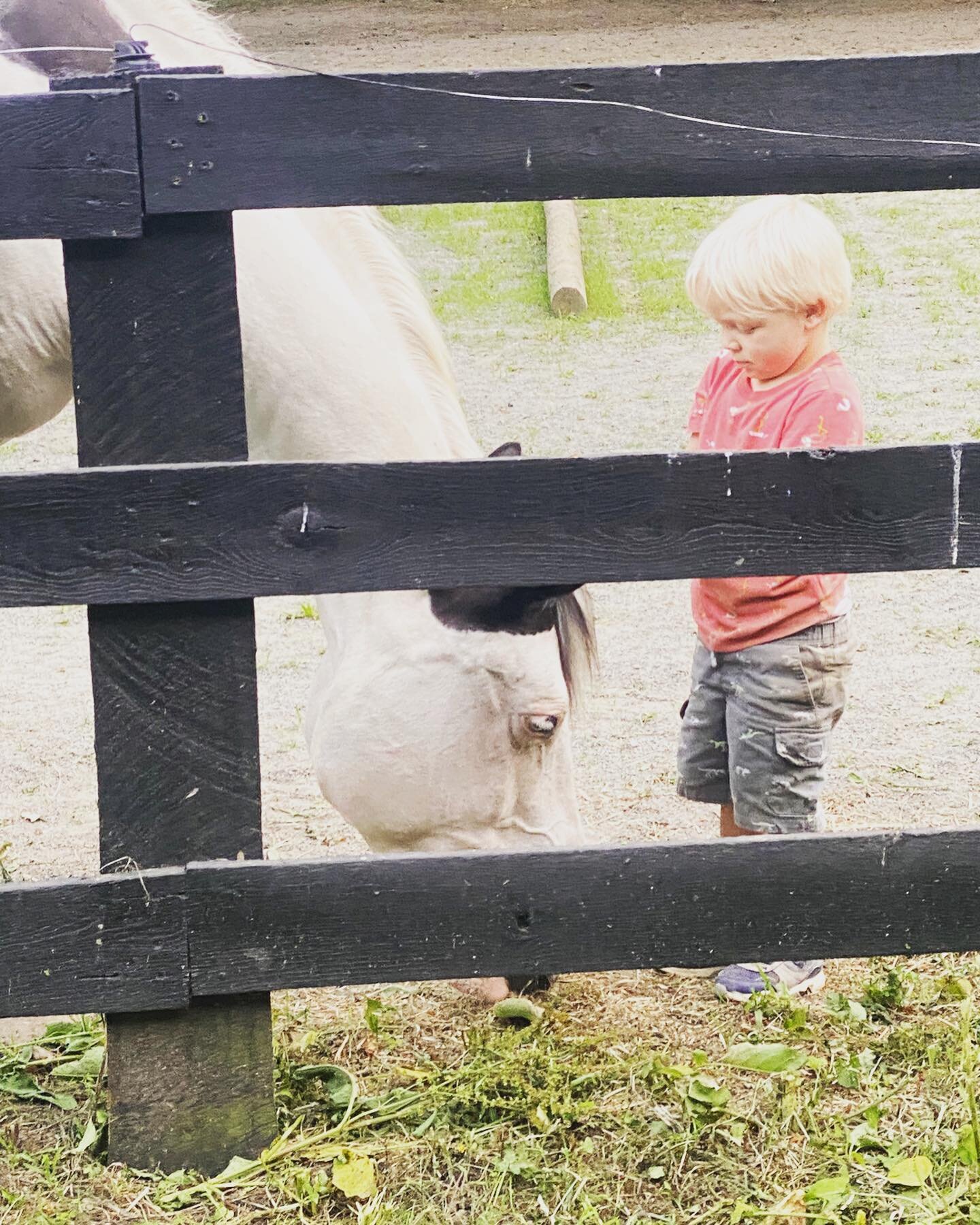 These pictures capture the sweet purity of honest connection and acceptance that children and horses gift us with. 
⠀⠀⠀⠀⠀⠀⠀⠀⠀
How much of the work that horses help us with relates to healing the inner child and helps us learn how to lovingly stand wi