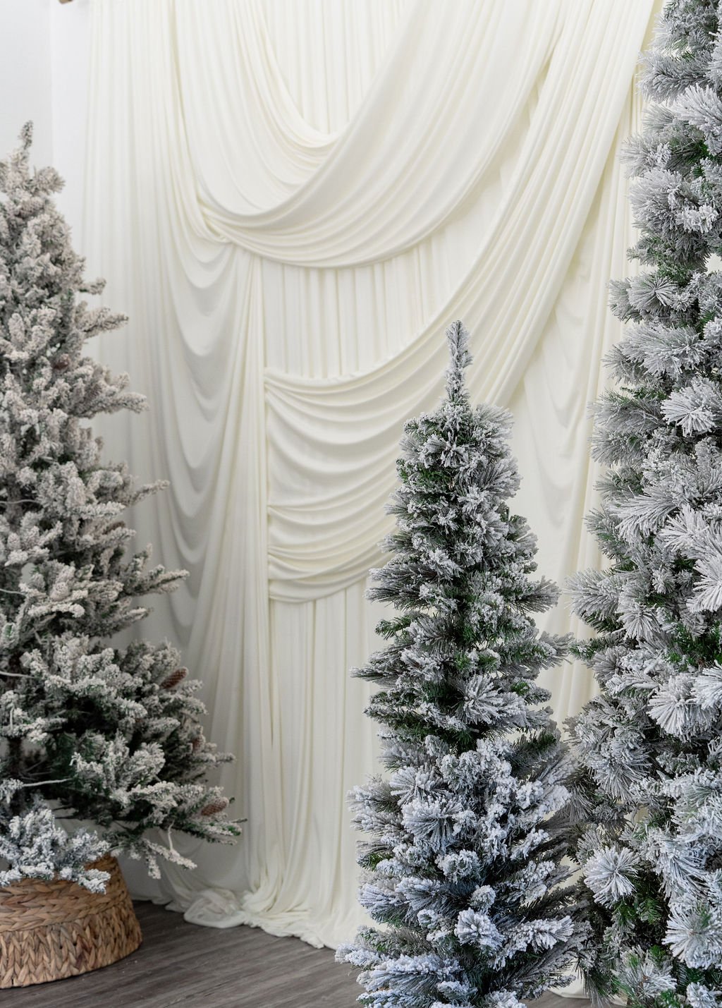 IvyChristmas26-2.jpg