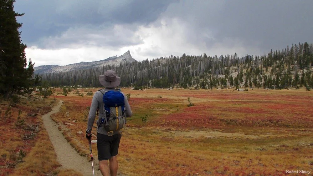 Yosemite Valley to Tuolumne in a Day