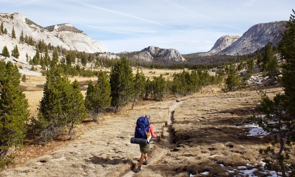 Nutrition for Endurance Athletes