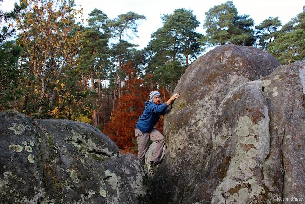 French Dispatch #1: Paris and the Forest of Fontainebleau