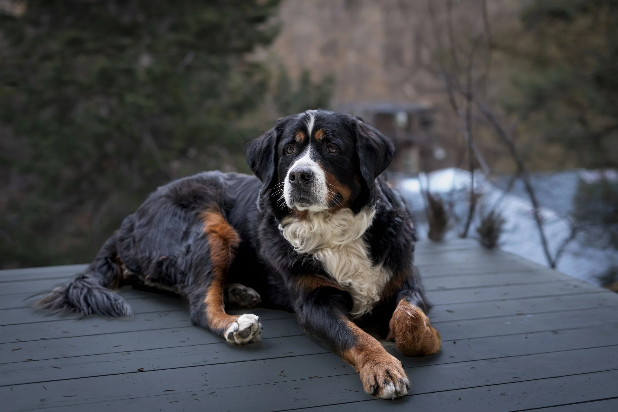 Shady 2025_JT_1514.jpg