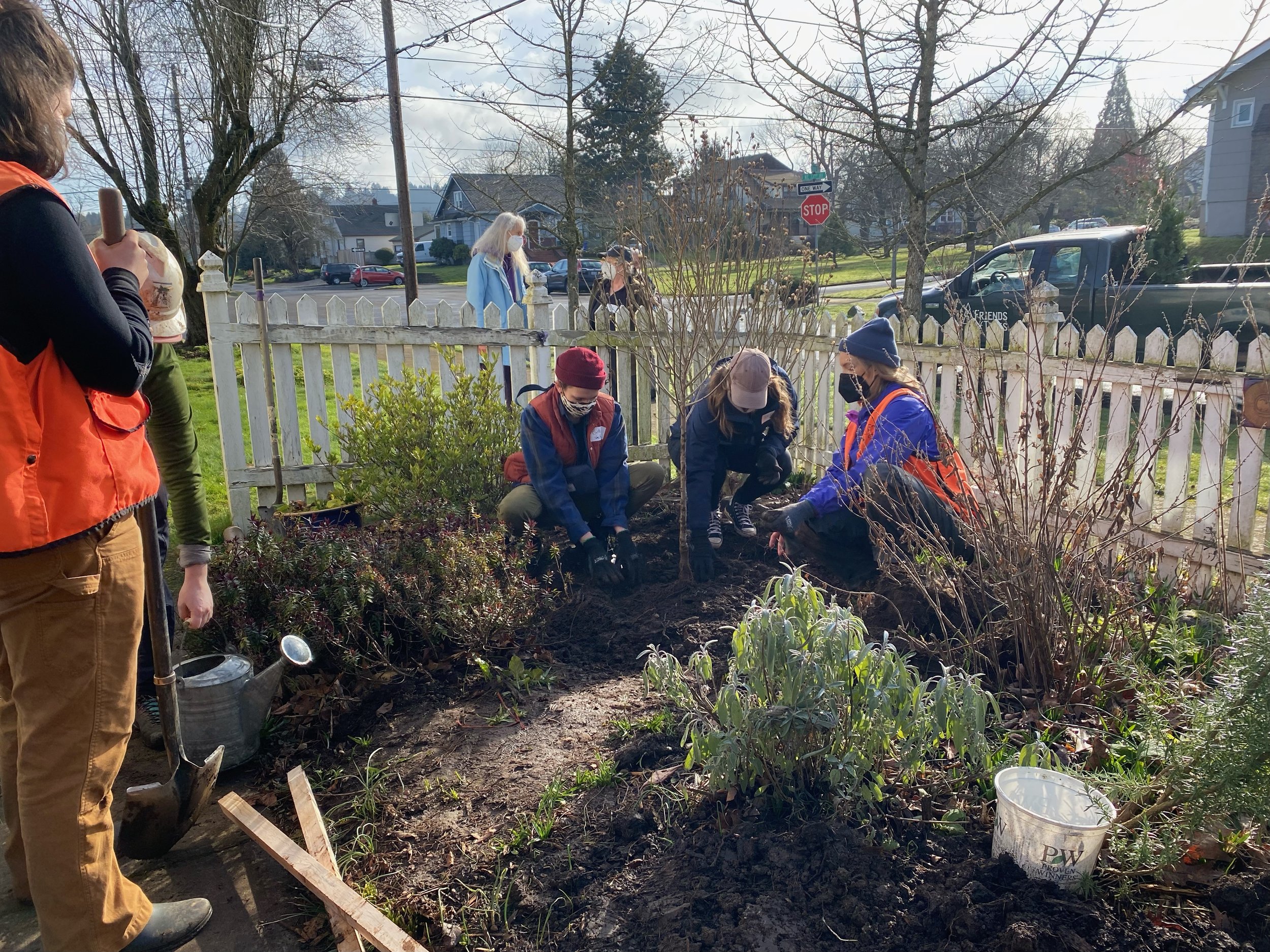 Leading a volunteer crew in planting trees