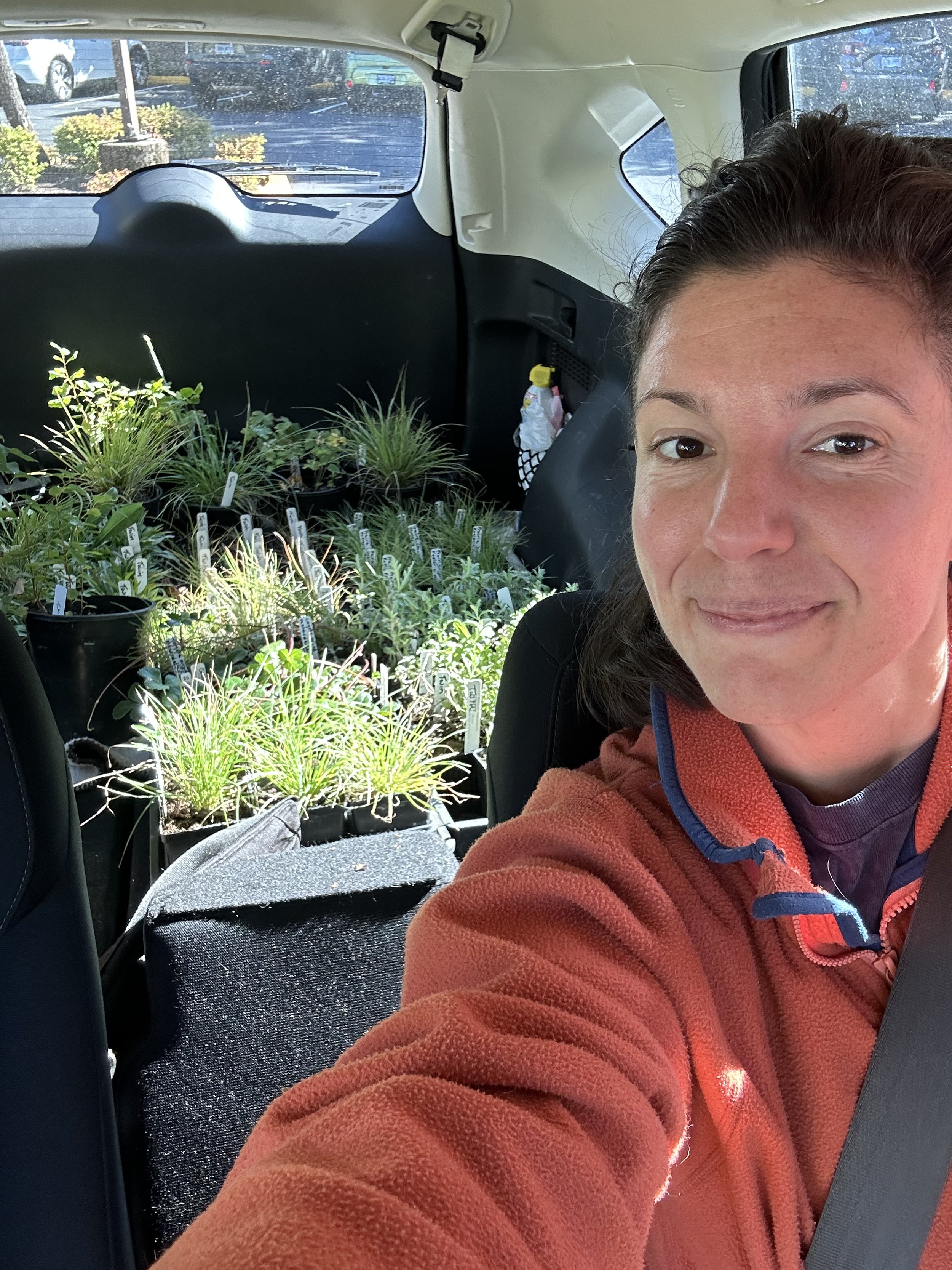 Sourcing plants for the Beecycle