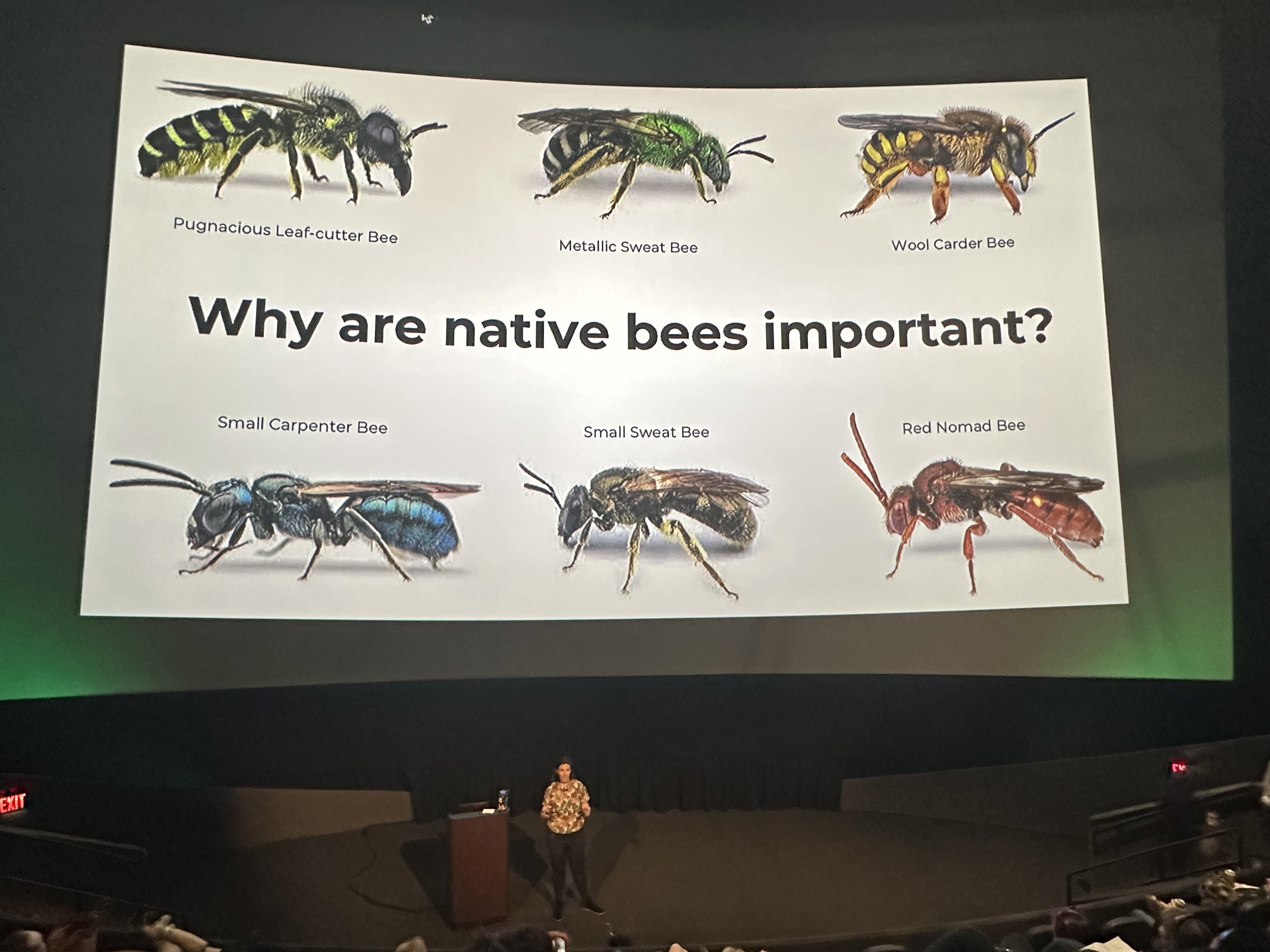 A presentation I gave at OMSI about bees