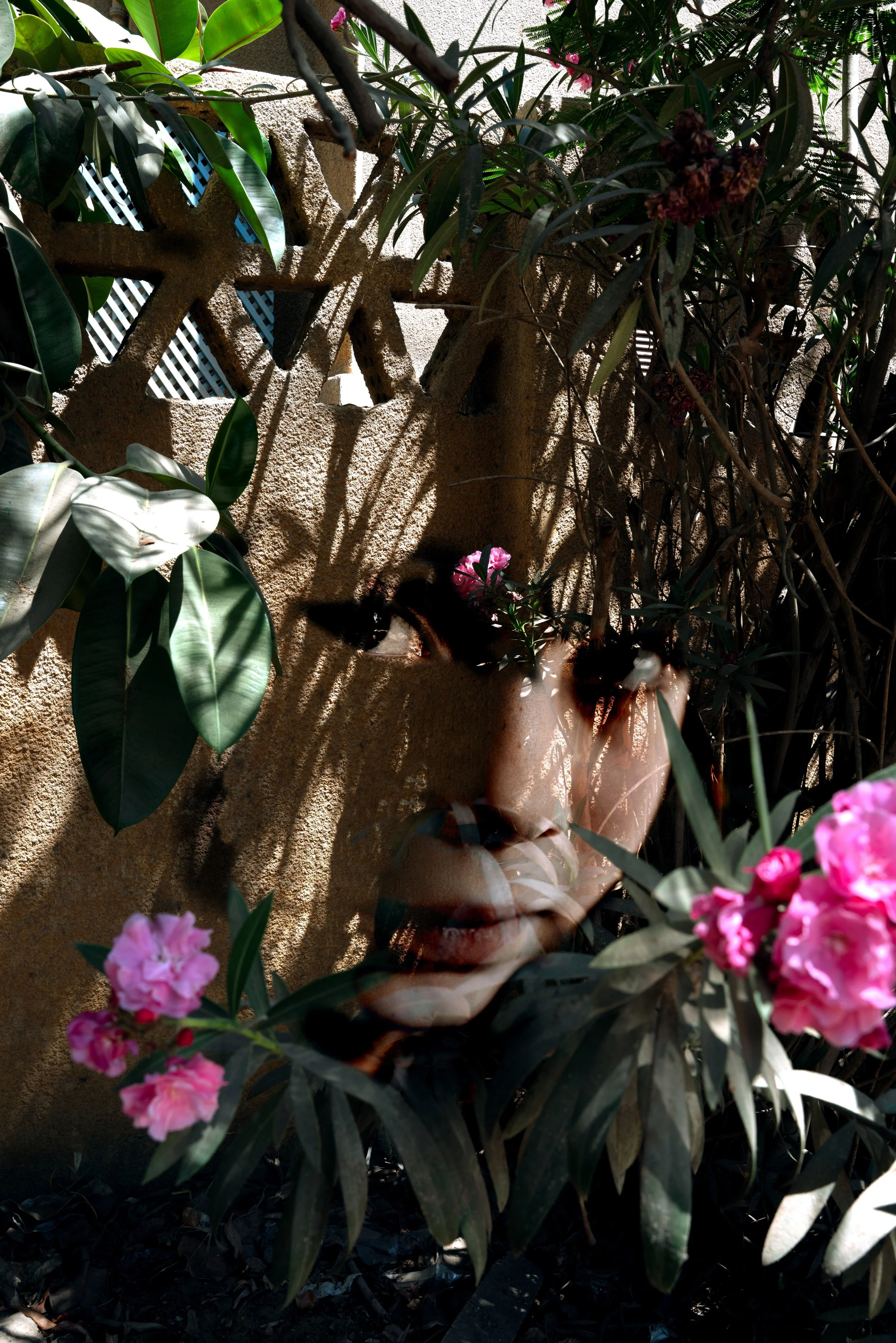 "Serenna" from "People & Place" series. 2025.
Composite image, created using blending techniques in Photoshop.