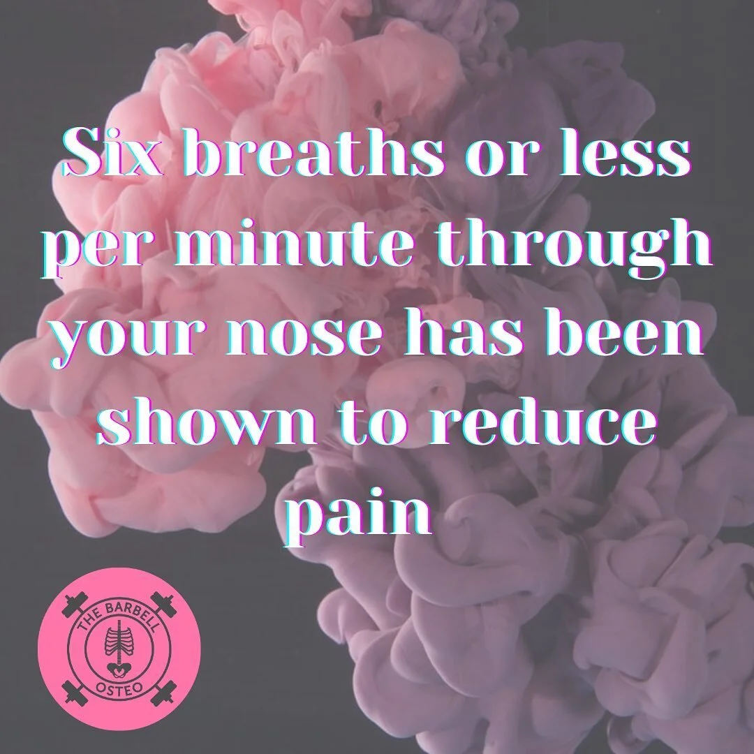There is a reason I do breathing work with every patient 🫁 👃 

Sometimes we focus on expansion and compression

Sometimes we focus on regulating our nervous system with the breath 

Sometimes we practice reintroducing breathing through the nose aft