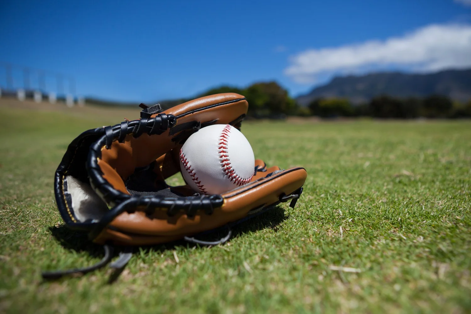 Baseball/Softball — All American Sports Factory