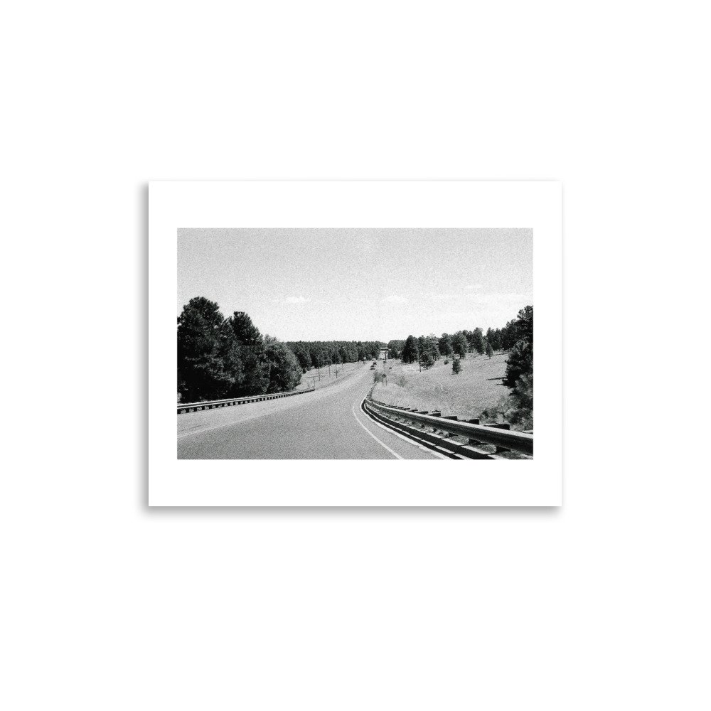 premium-luster-photo-paper-poster-(in)-11x14-front-62e7566357a53.jpg