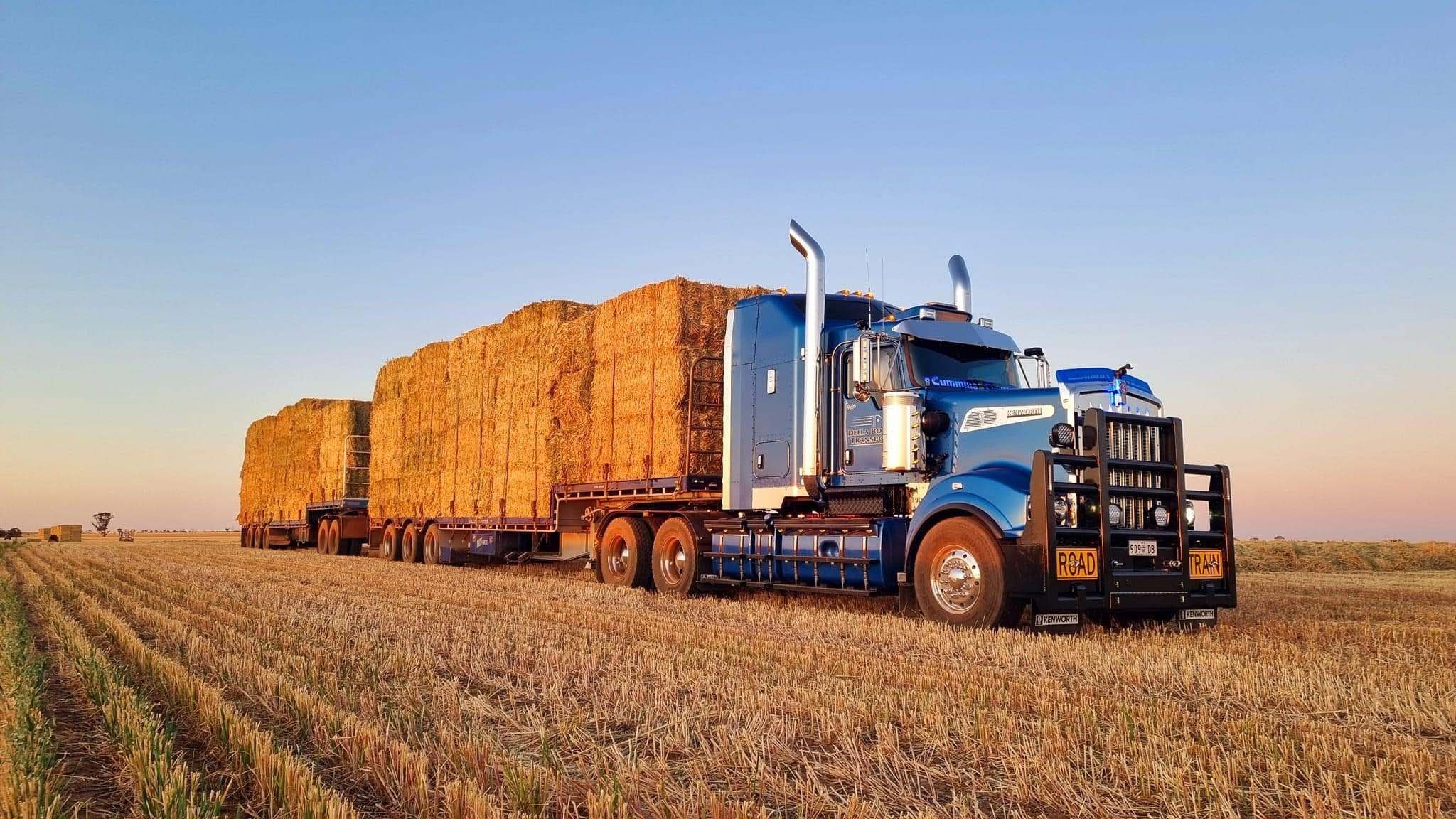 Della+Bosca+Transport_Services_04.jpg
