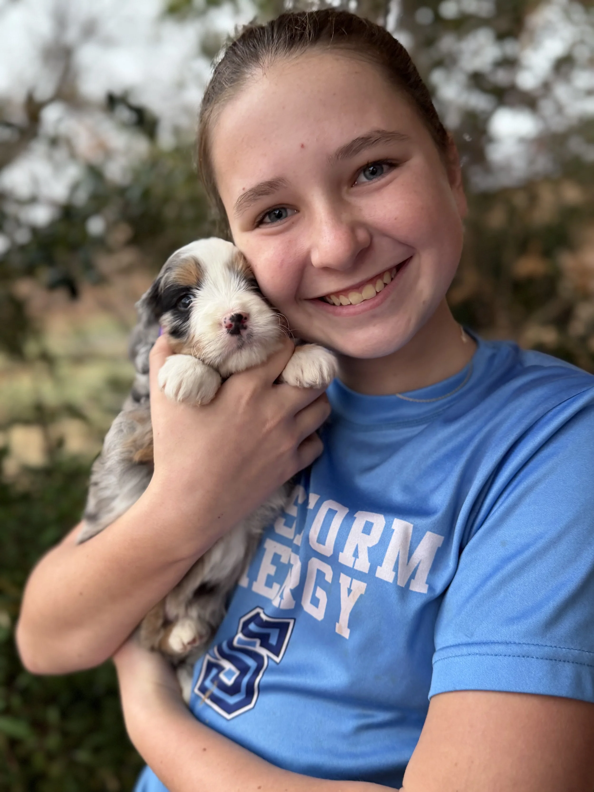 Echo Female Mini Australian Bernedoodle $4000