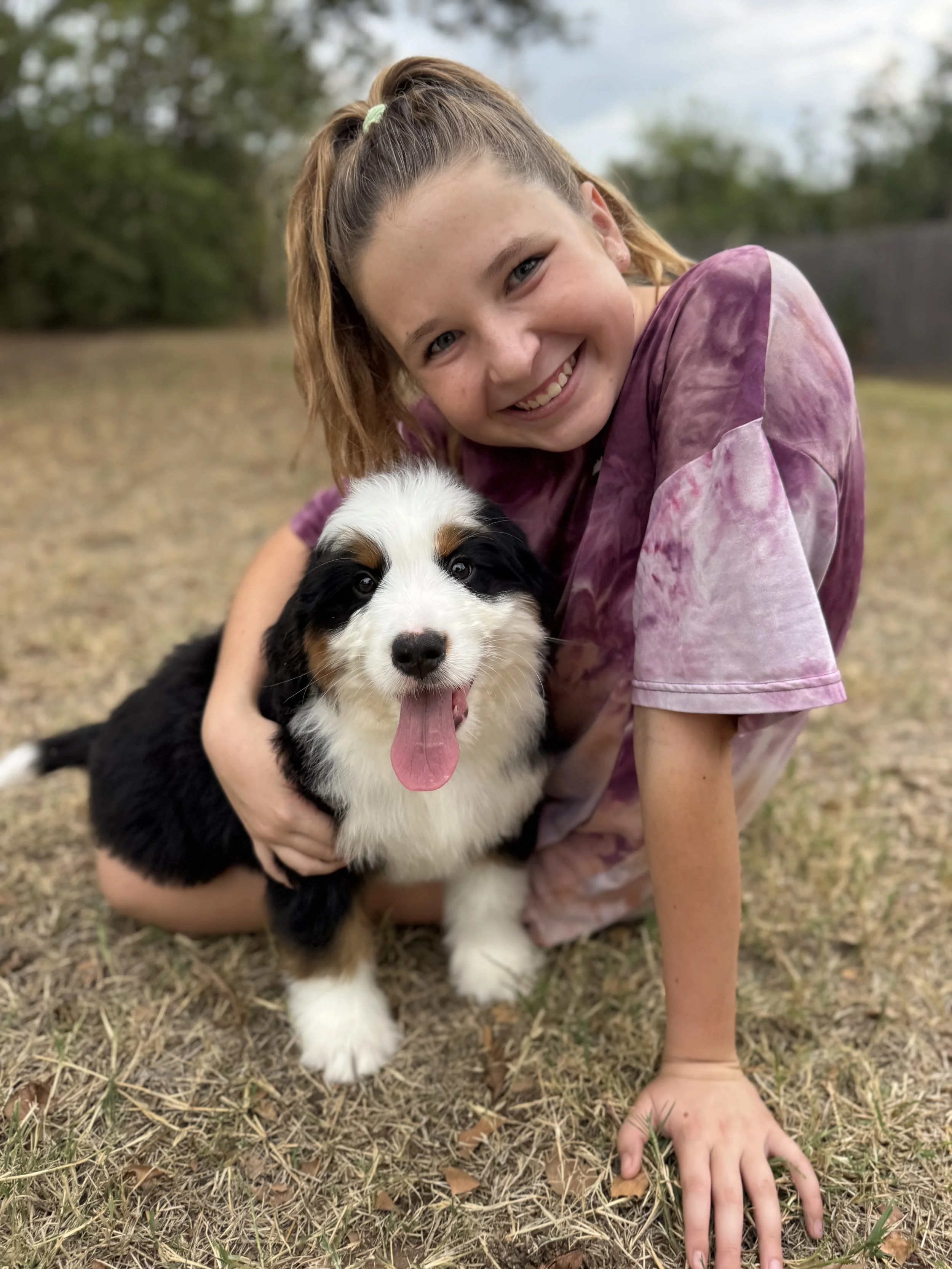 Rubble Male Medium Ultra-Bernedoodle $2500