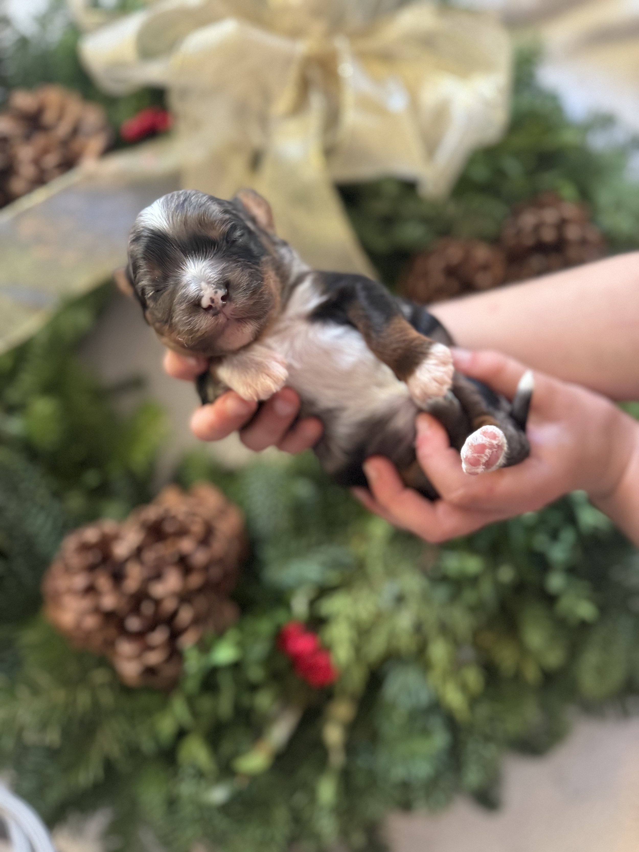 IMG_5238.jpeg (Copy)