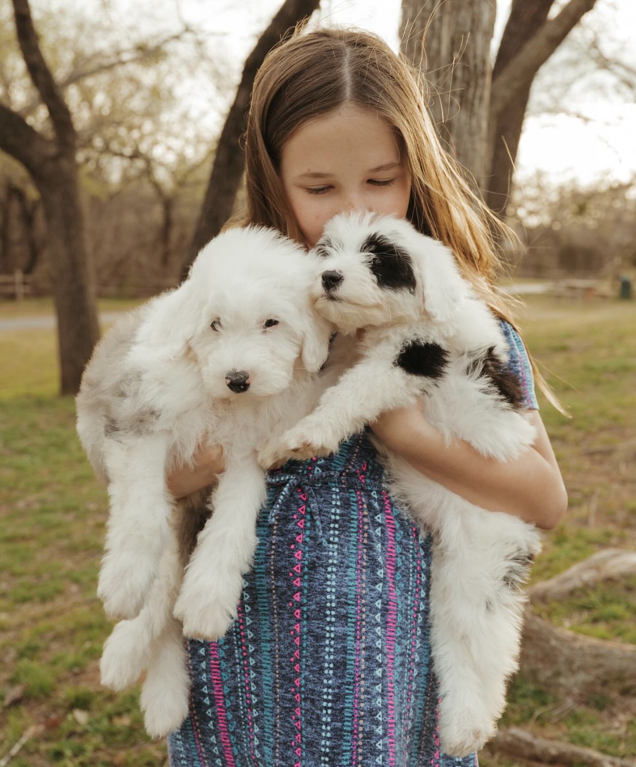 Birch (available) and Hazel (reserved)