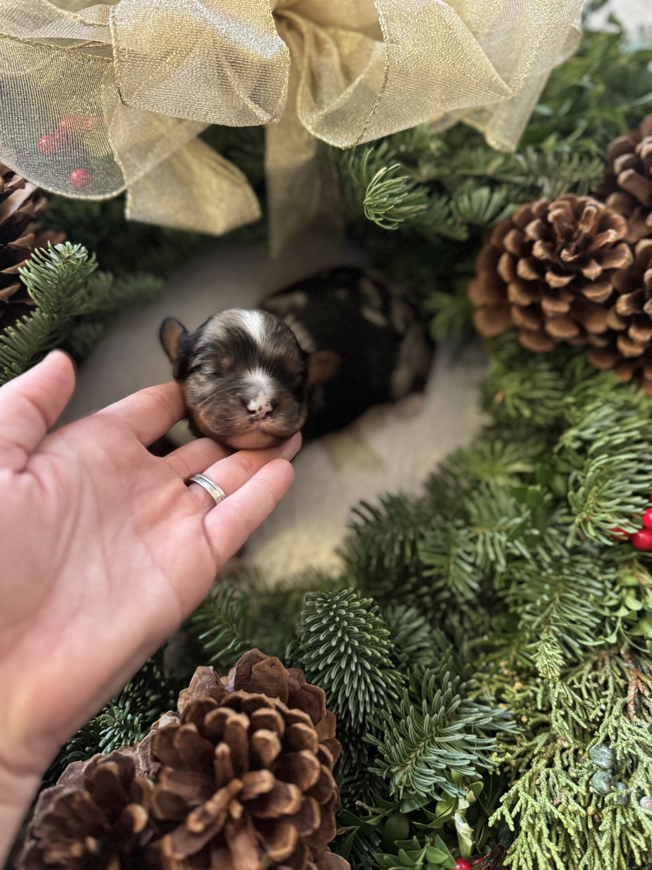 IMG_5249.jpeg (Copy)