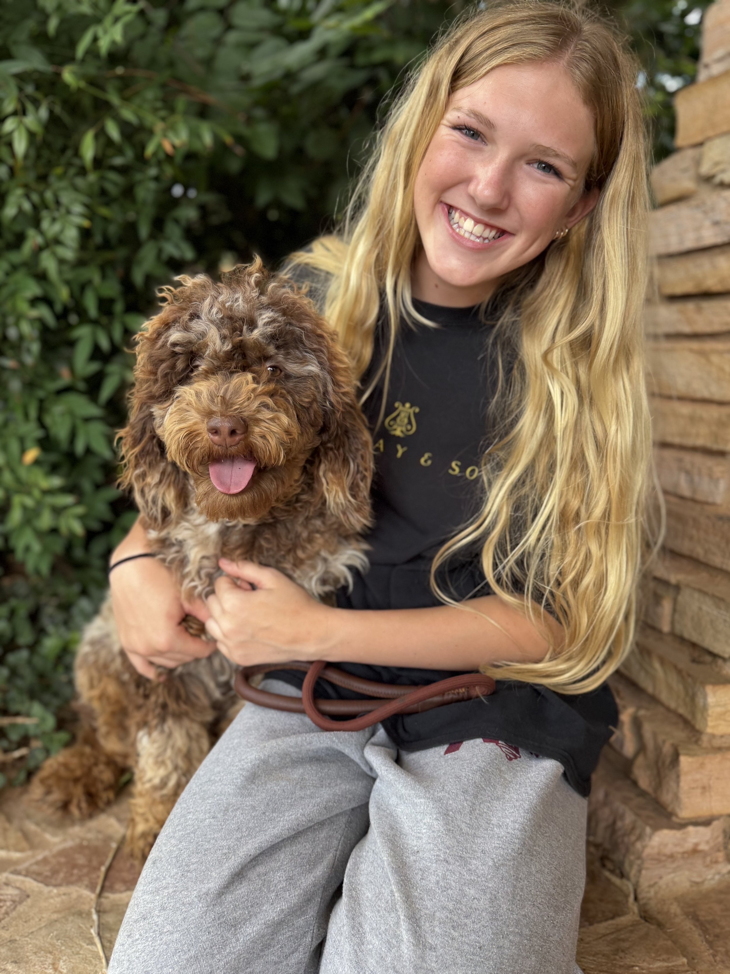Sunny Free Guardian Opportunity Female Poodle