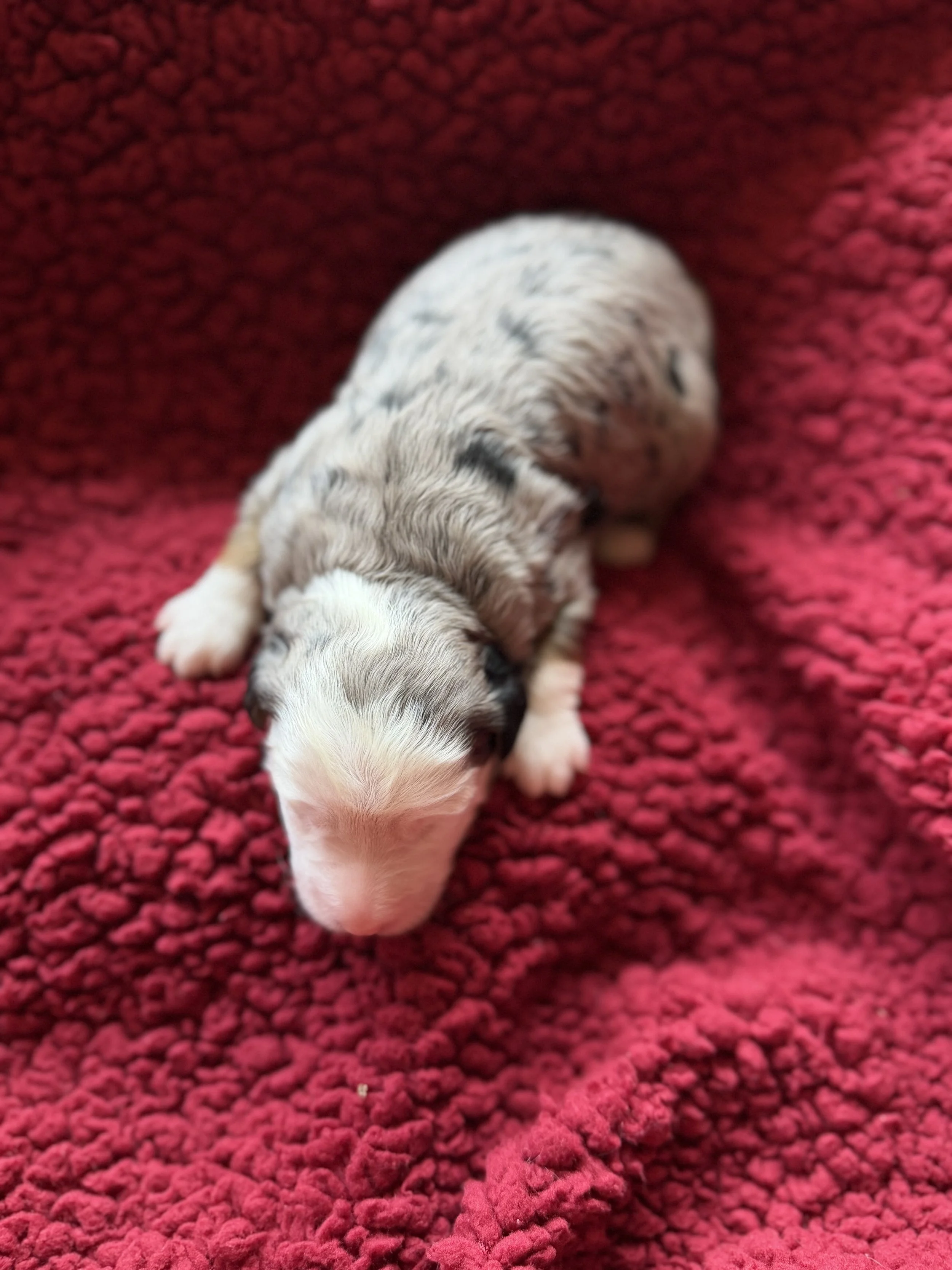 IMG_8108.jpeg