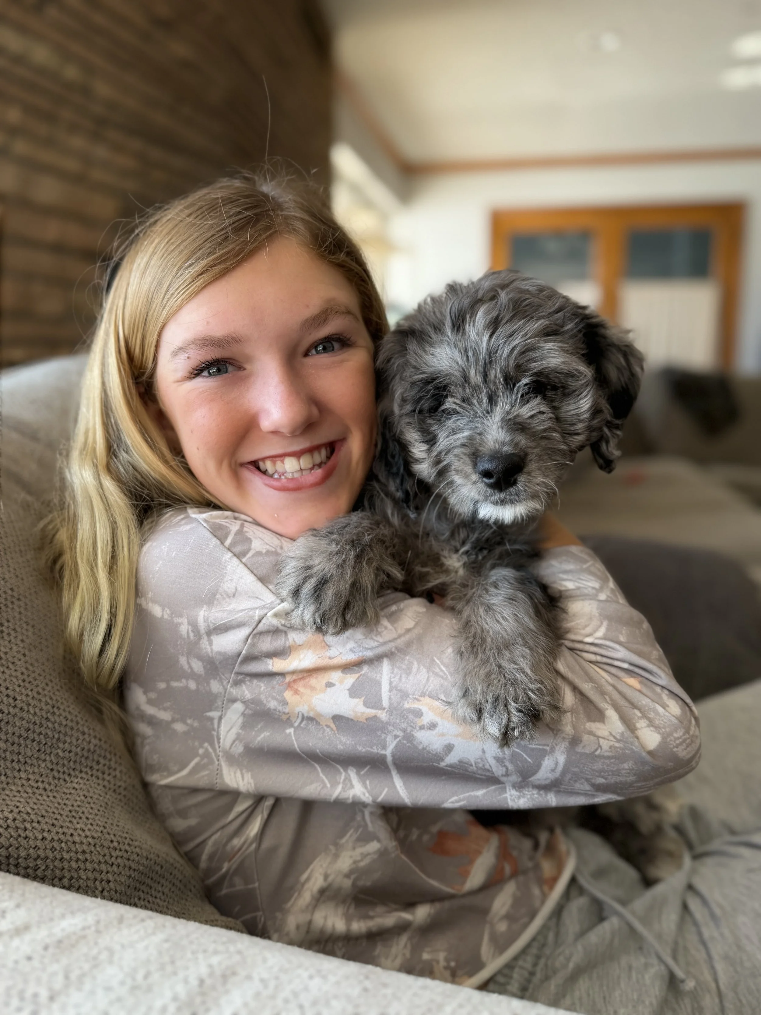 Toph Female Bernedoodle $3000