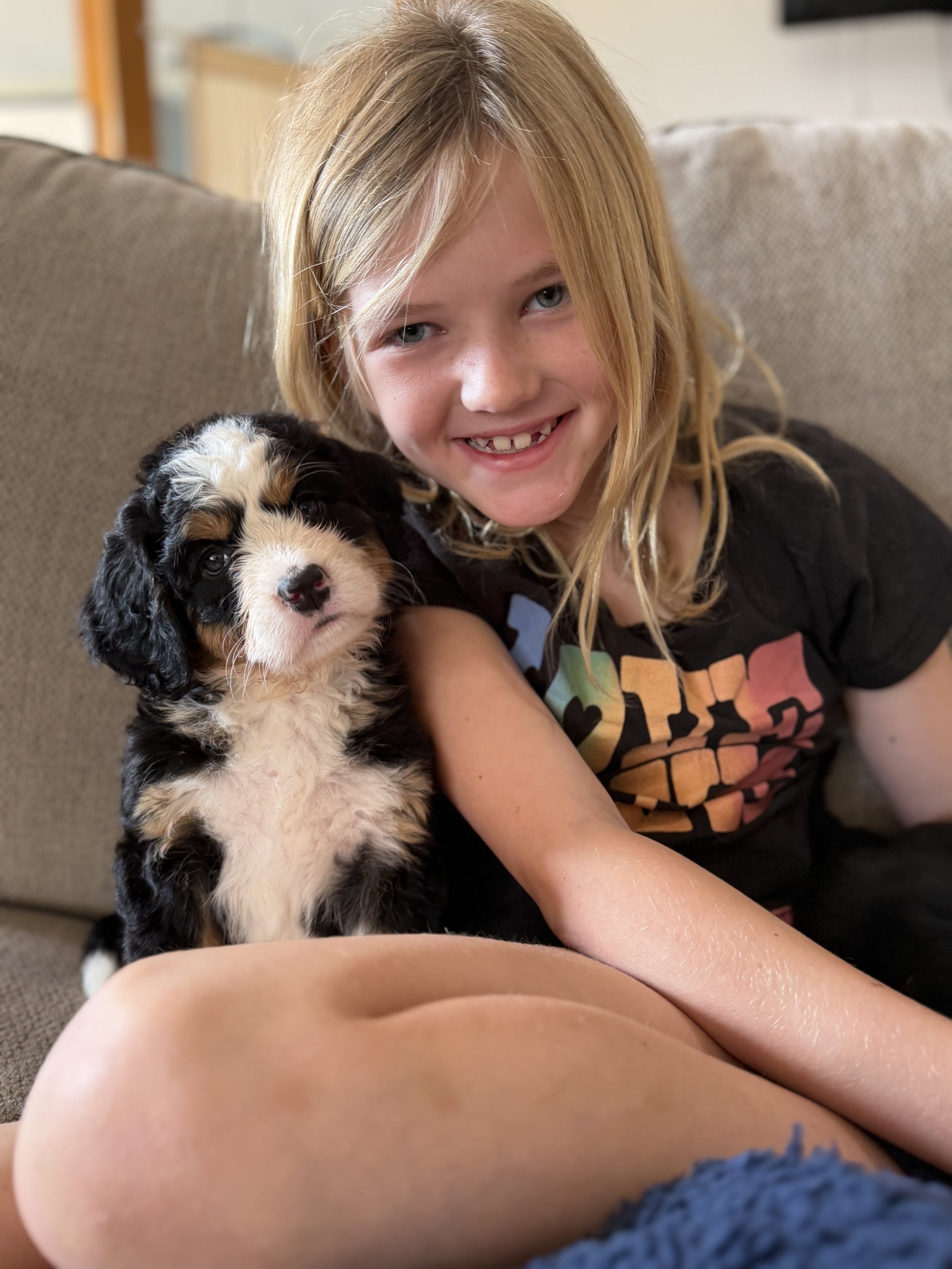 Madame Splinter Female Ultra Bernedoodle $3750