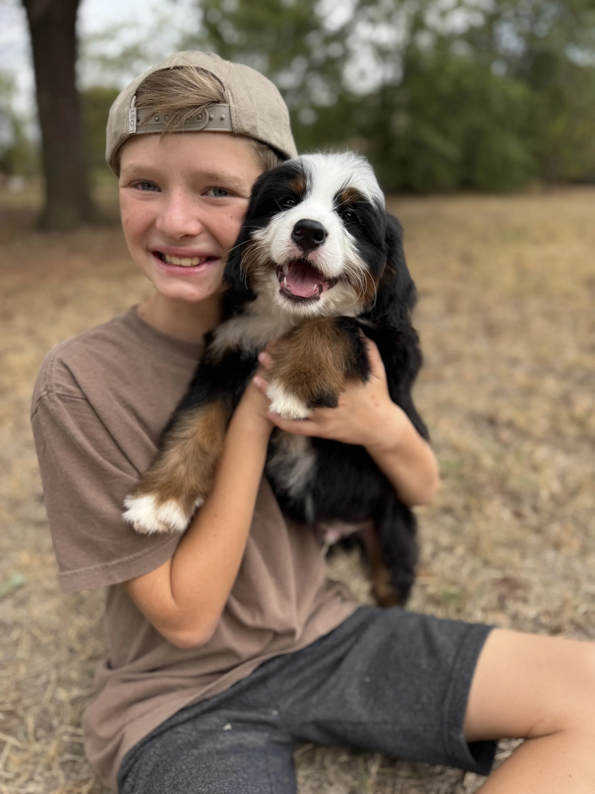 Zuma Male Medium Ultra-Bernedoodle $3250