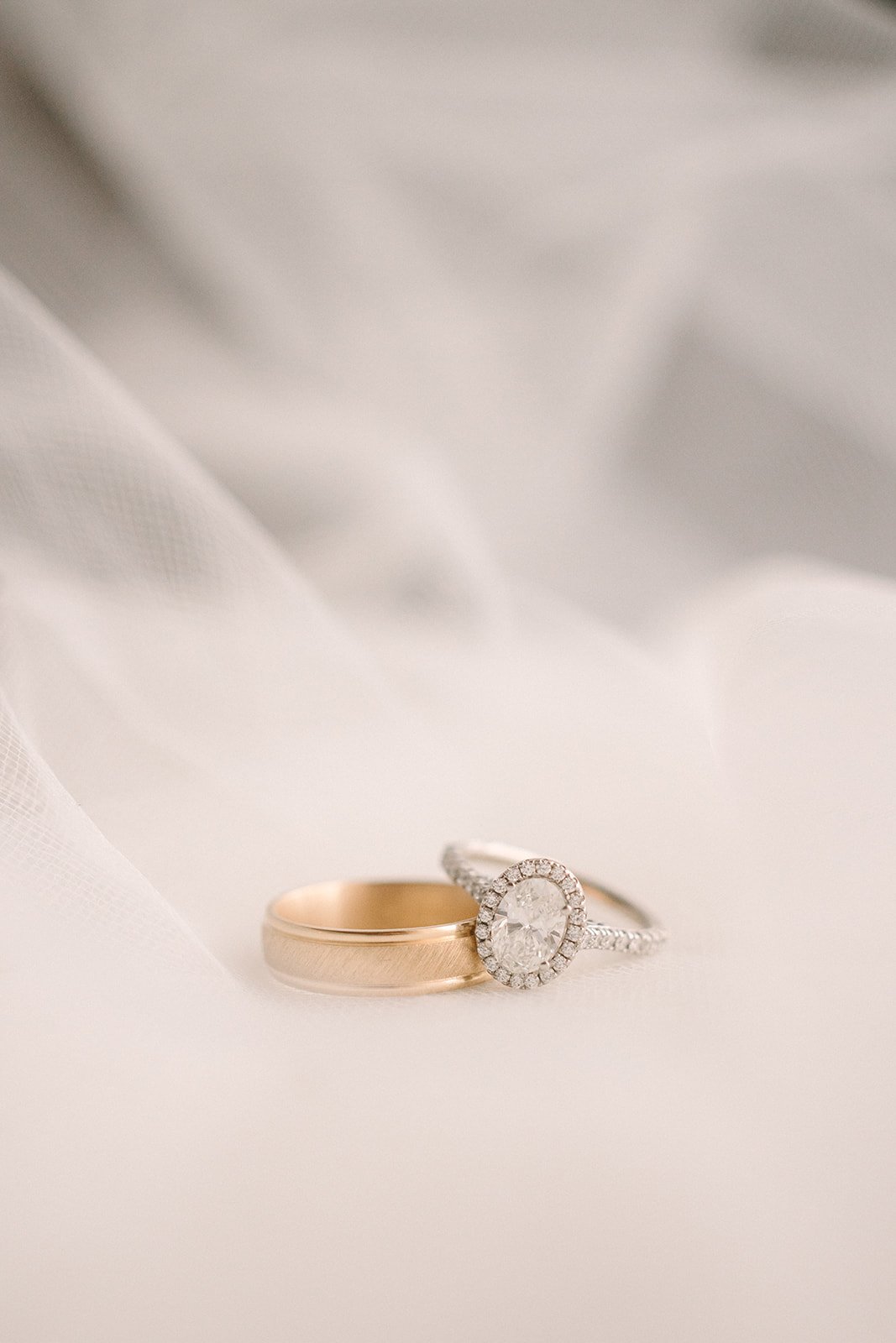 AmandaCampbellVisuals-3_websize.jpg