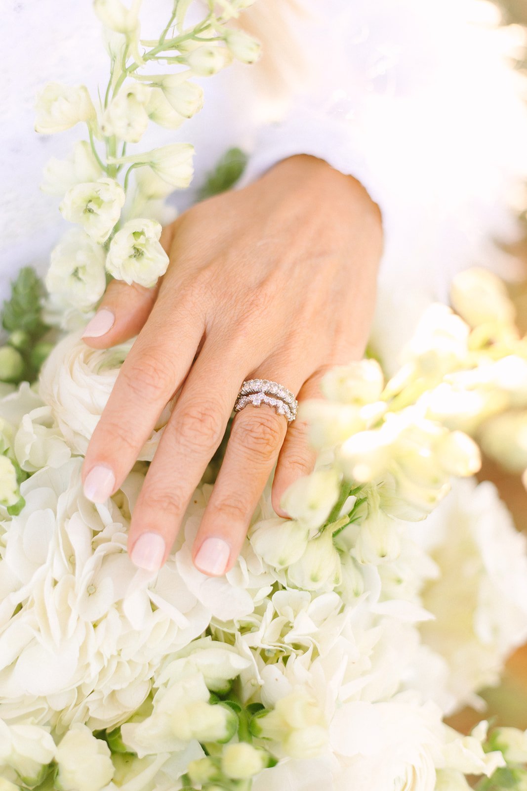 AmandaCampbellVisuals-142_websize.jpg