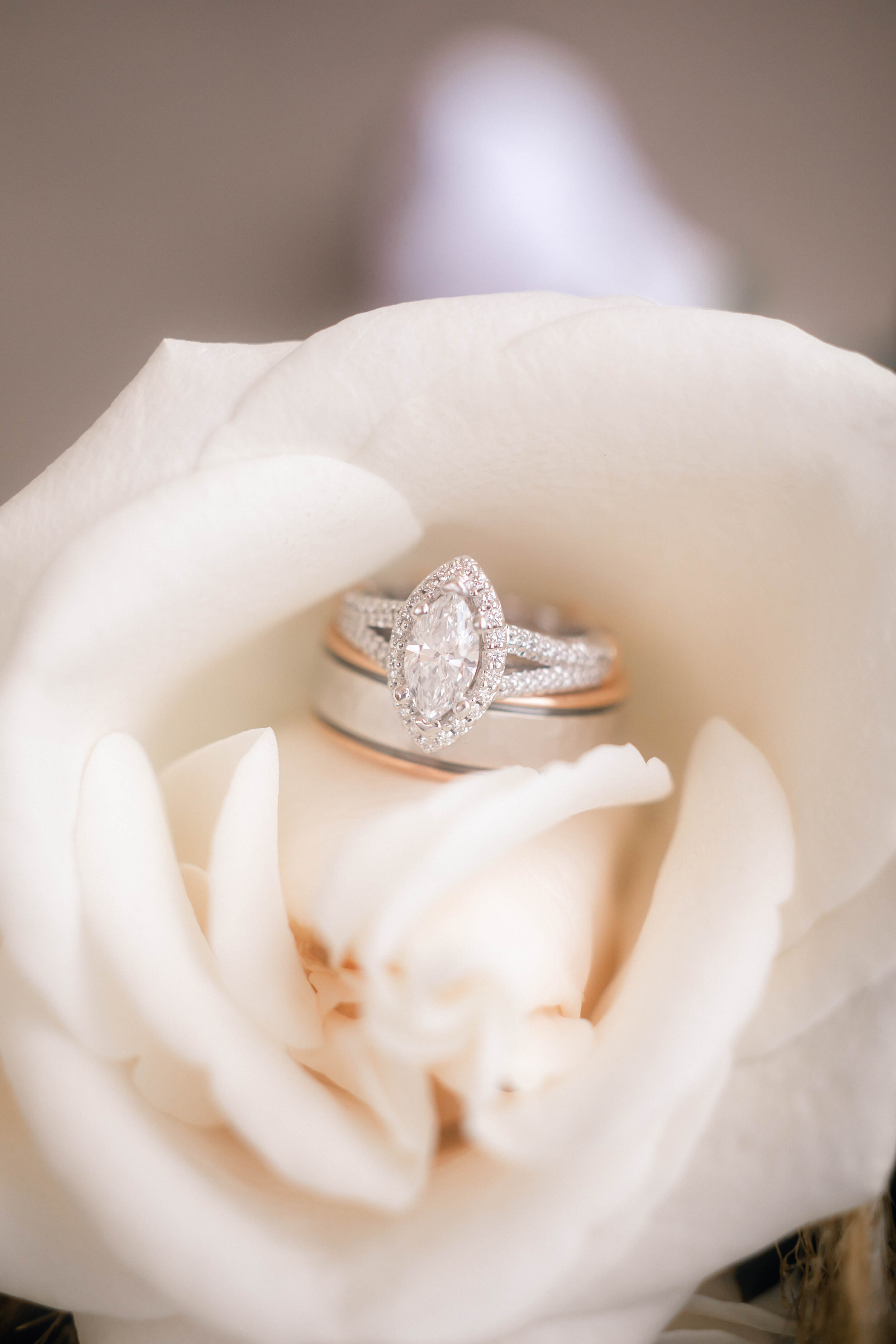 AmandaCampbellVisuals-4.jpg