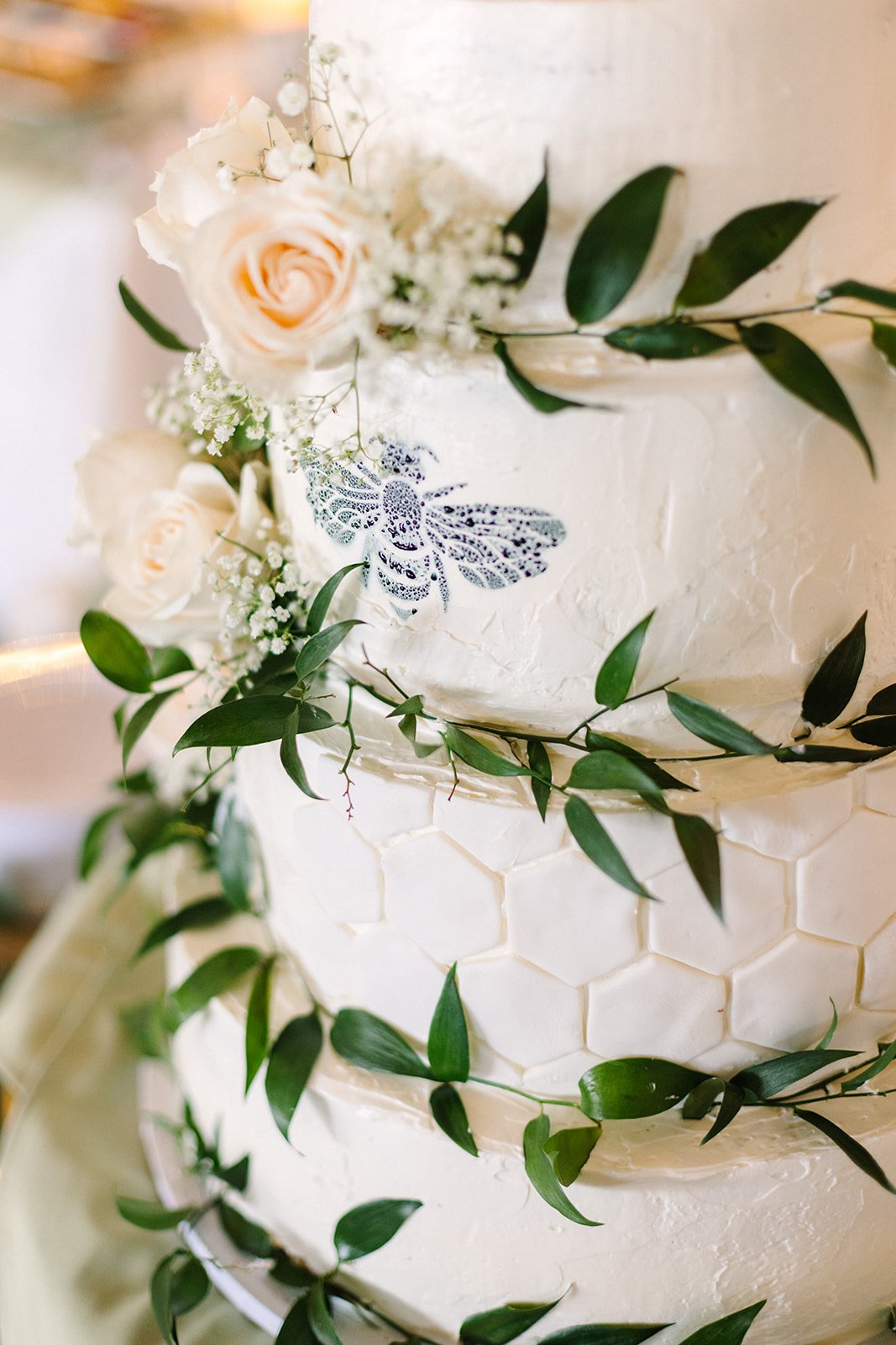 AmandaCampbellVisuals-851_websize.jpg