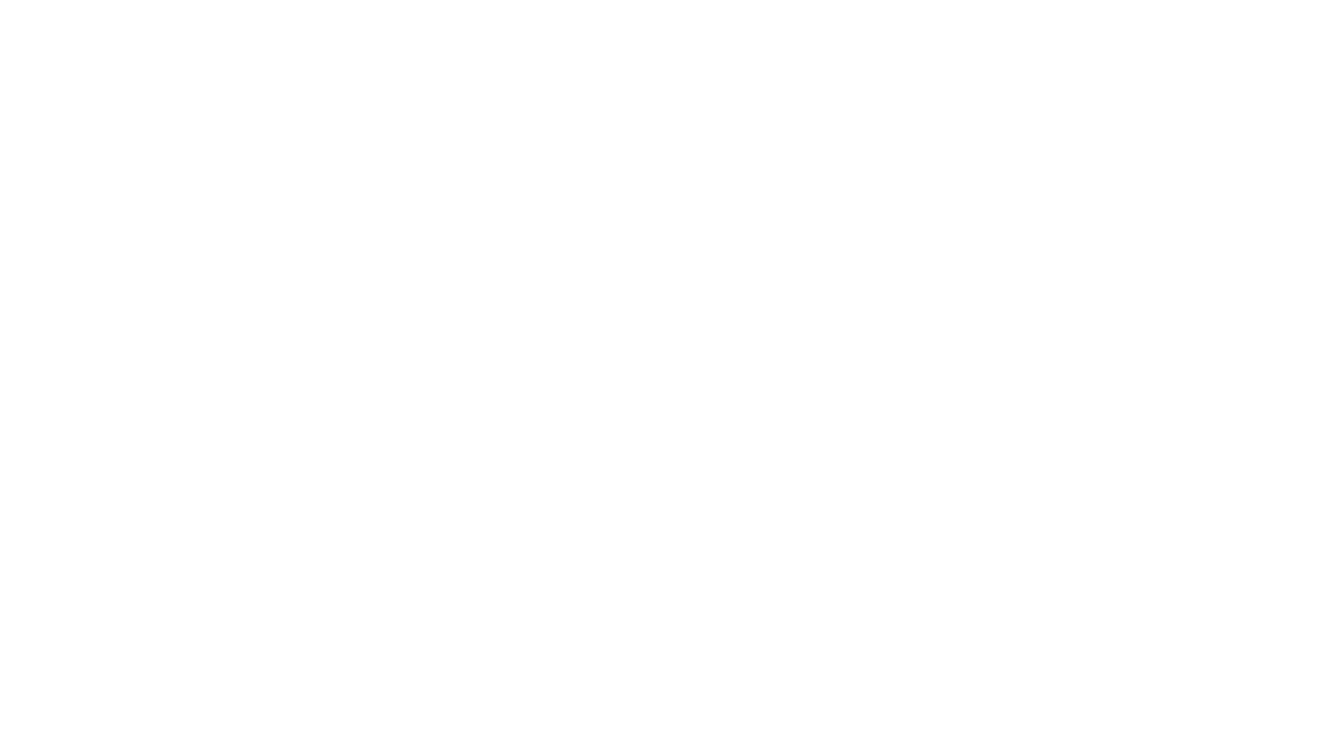 The Space Company