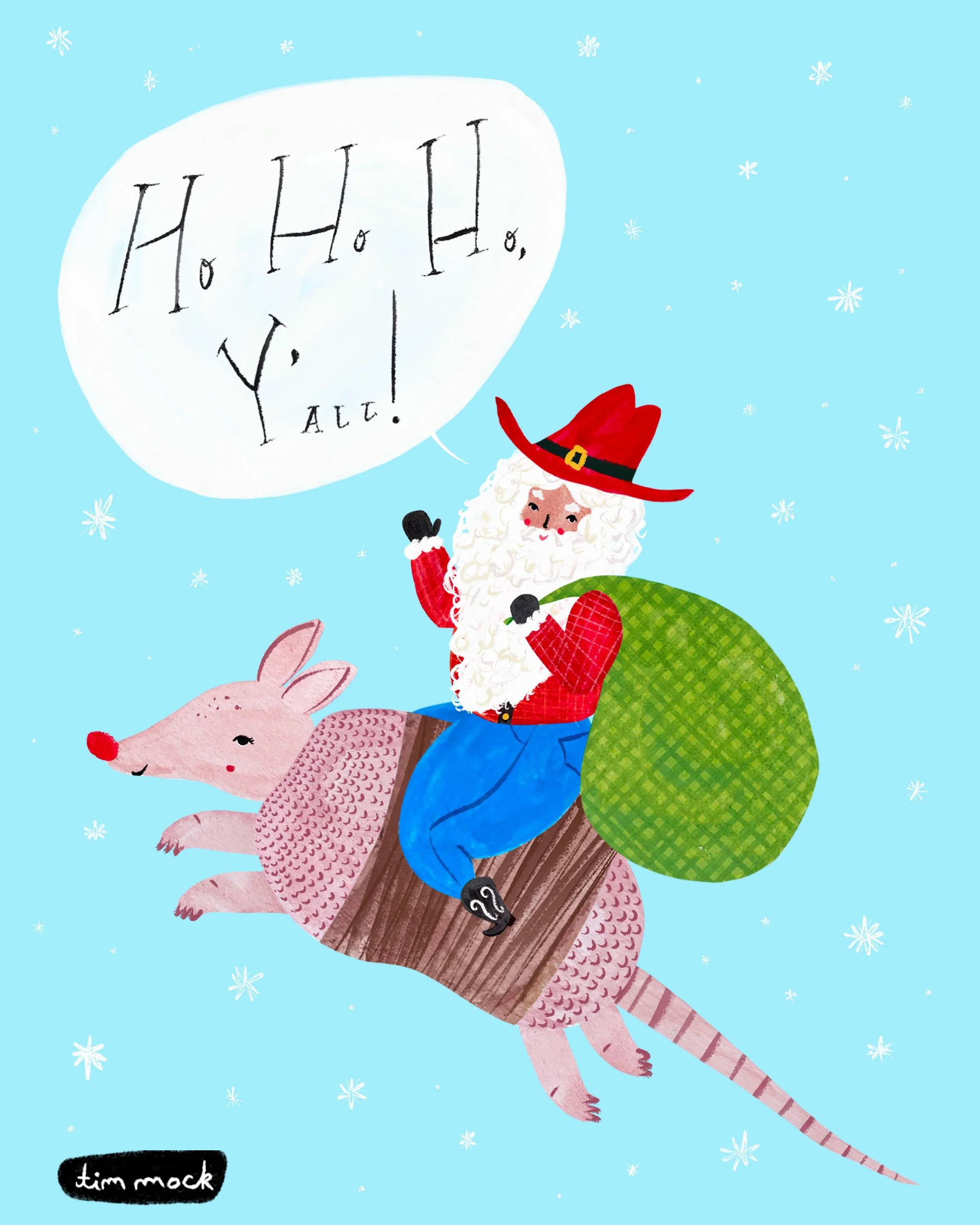 SantaArmadillo.jpg