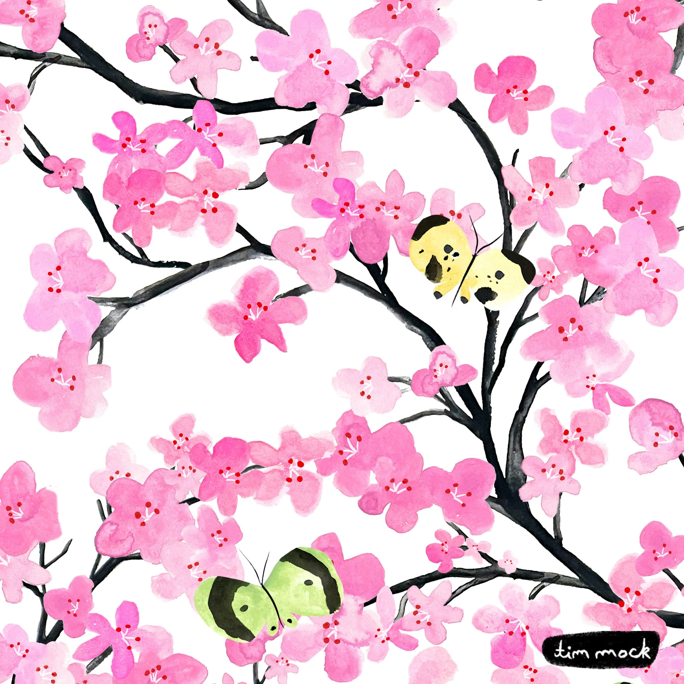Flora and Fauna